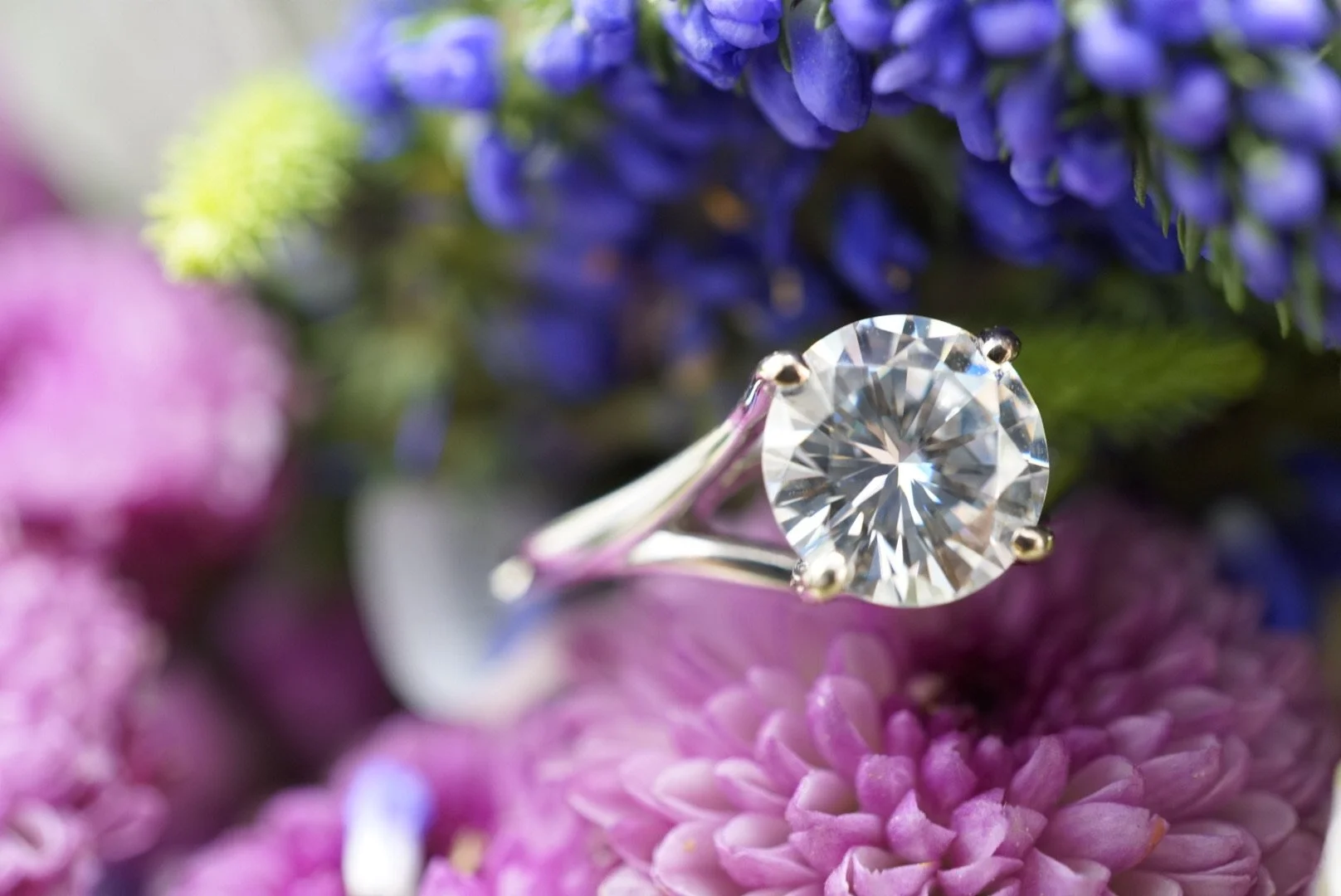 7DDB4EDB-881A-4834-A8CA-A45509AEA38F 2.JPG