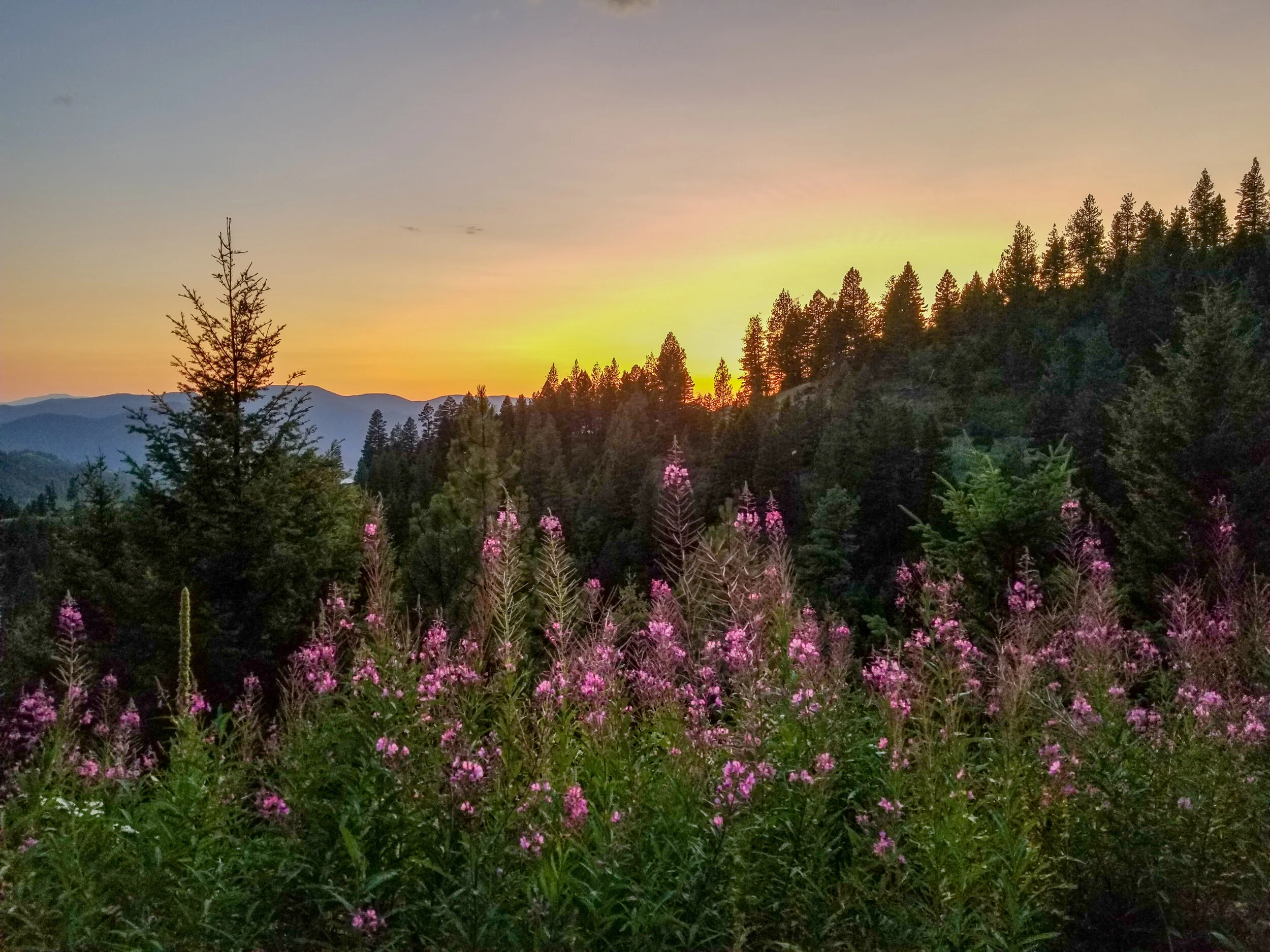 20190729_212402-2.jpg