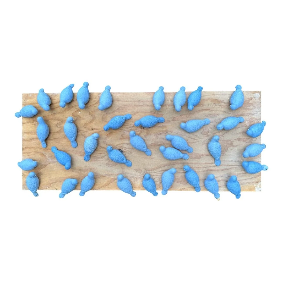 (Re)Imagining Inclusion