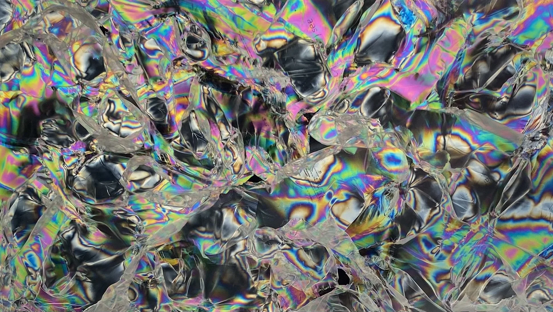 Sara Lydia Tuell: Waveforms