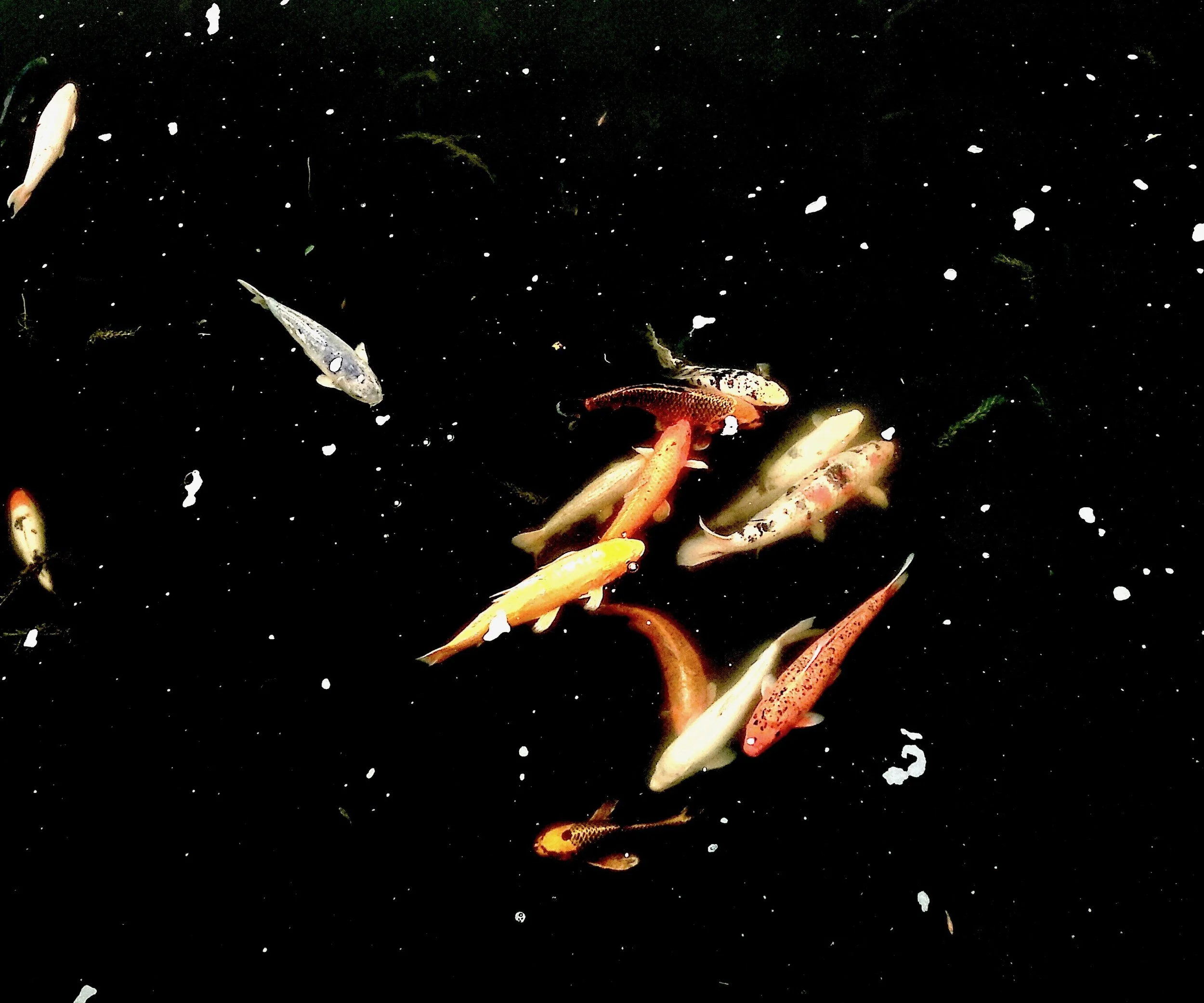 Presence: A Timely Exhibition on Placemaking and Community  Opens at Contemporary Calgary 