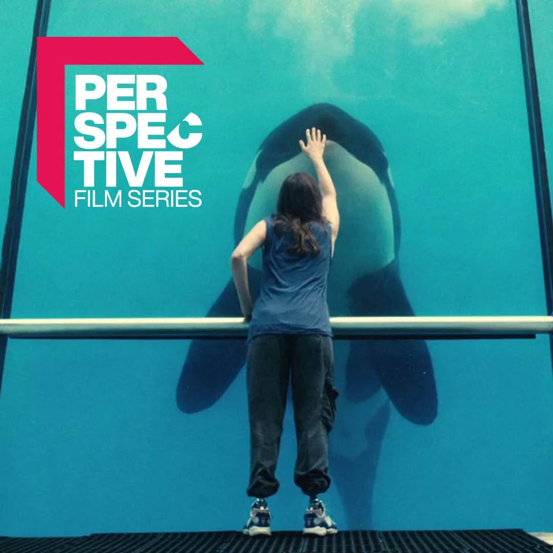 Perspective Film Series: Rust and Bone (2012), dir. Jacques Audiard