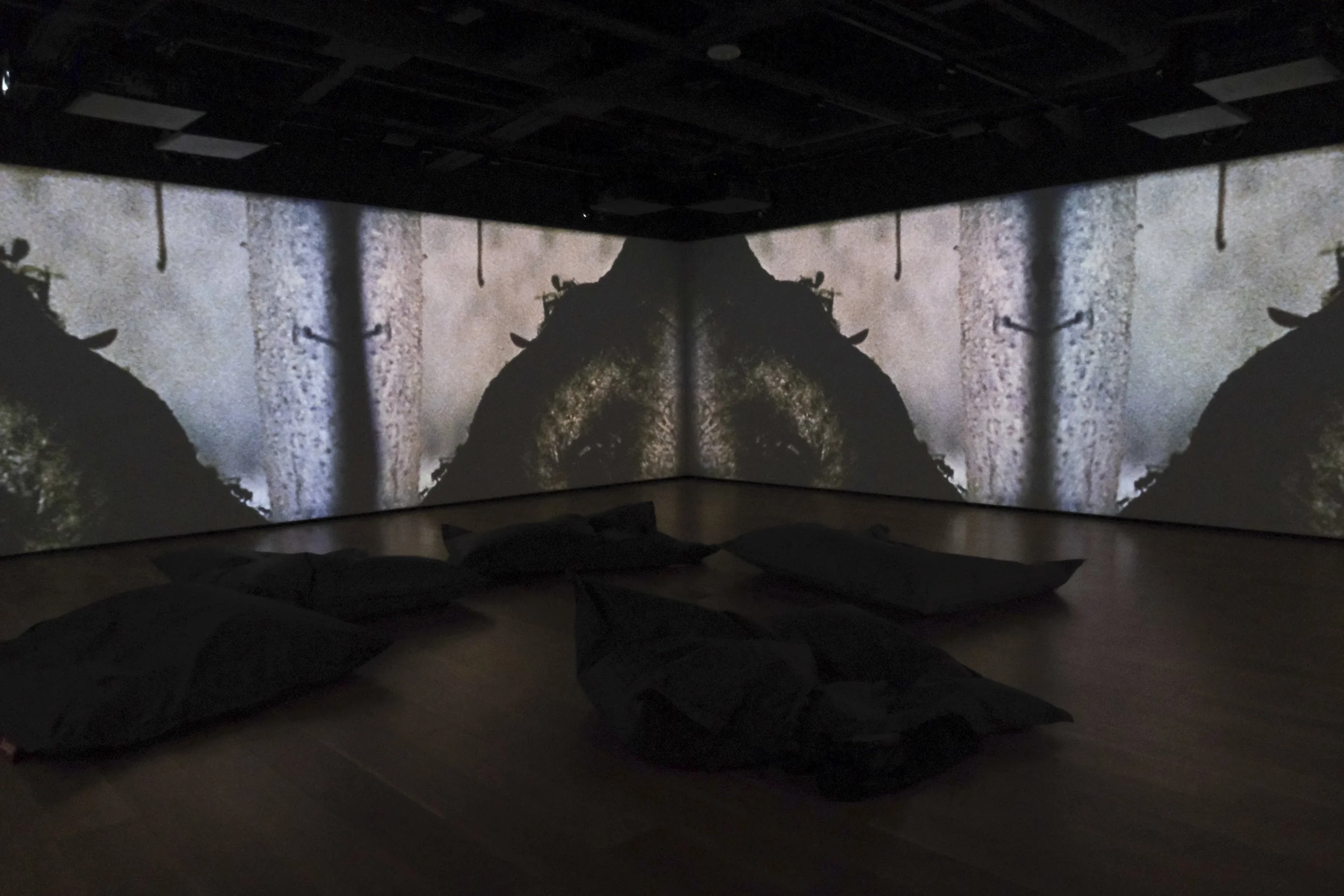 Miruna Drăgan & Maggie Tiesenhausen: Hummingbird Guided Meditation . March 6—June 29, 2025. Photo by Victoria Cimolini.