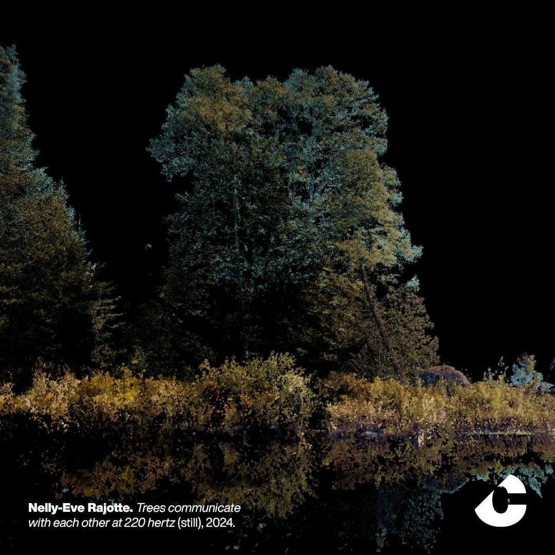 Nelly-Eve Rajotte: Trees communicate with each other at 220 hertz