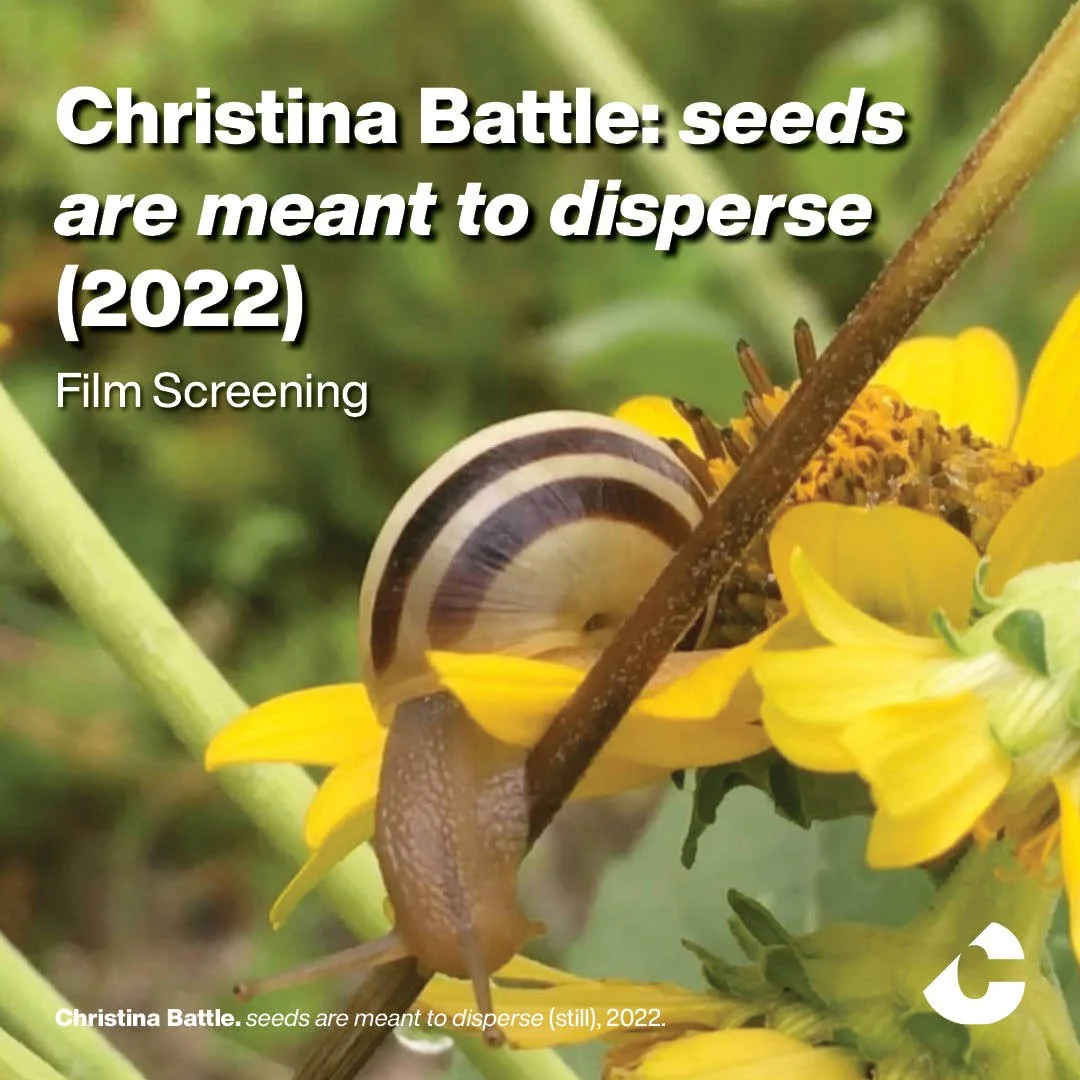 Film Screening | Christina Battle: seeds are meant to disperse (2022)