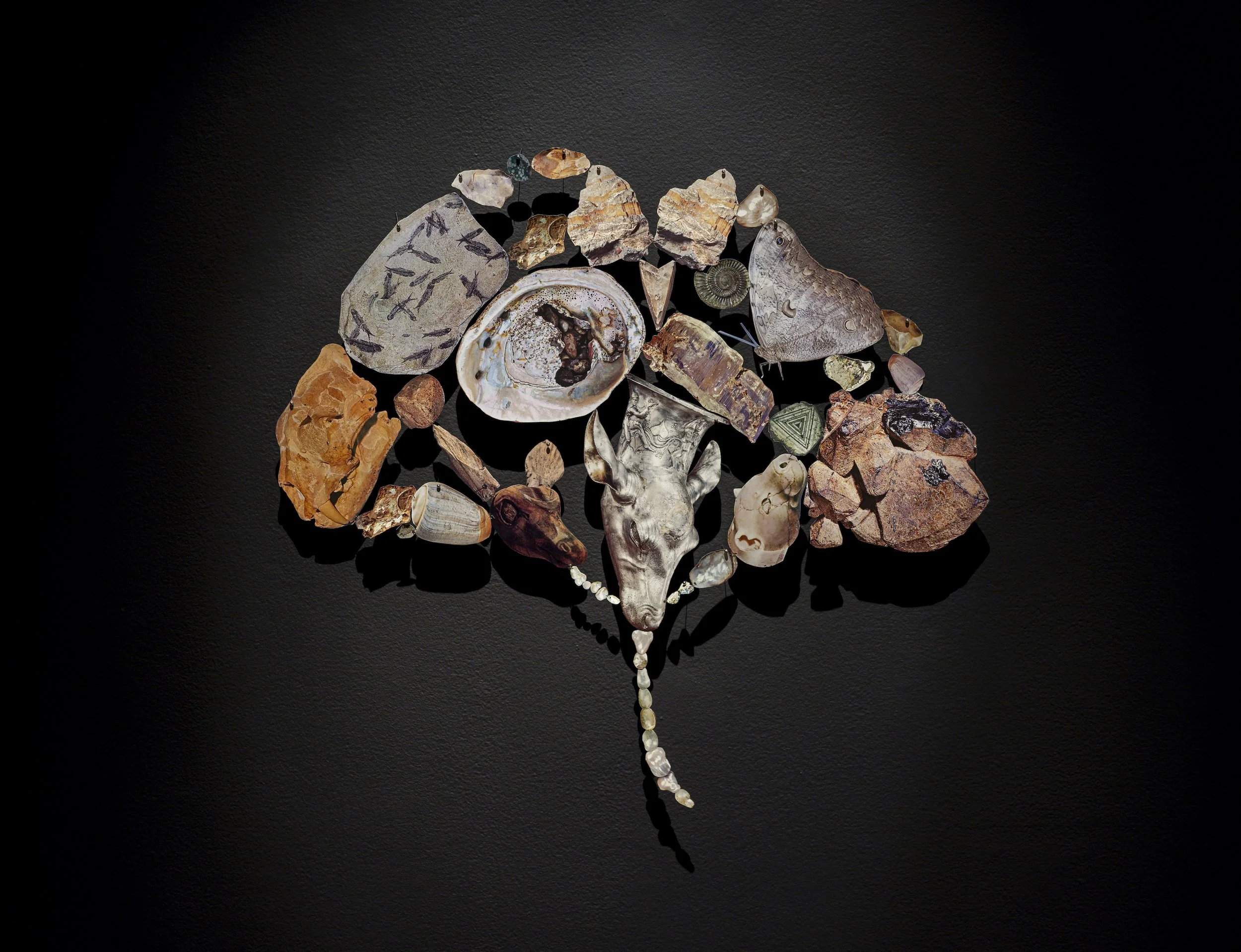 Contemporary Calgary Marks Chief Curator Mona Filip’s Landmark Debut Unveils Building-Wide Exhibitions, Entwined and Nelly-Eve Rajotte: Trees communicate with each other at 220 hertz