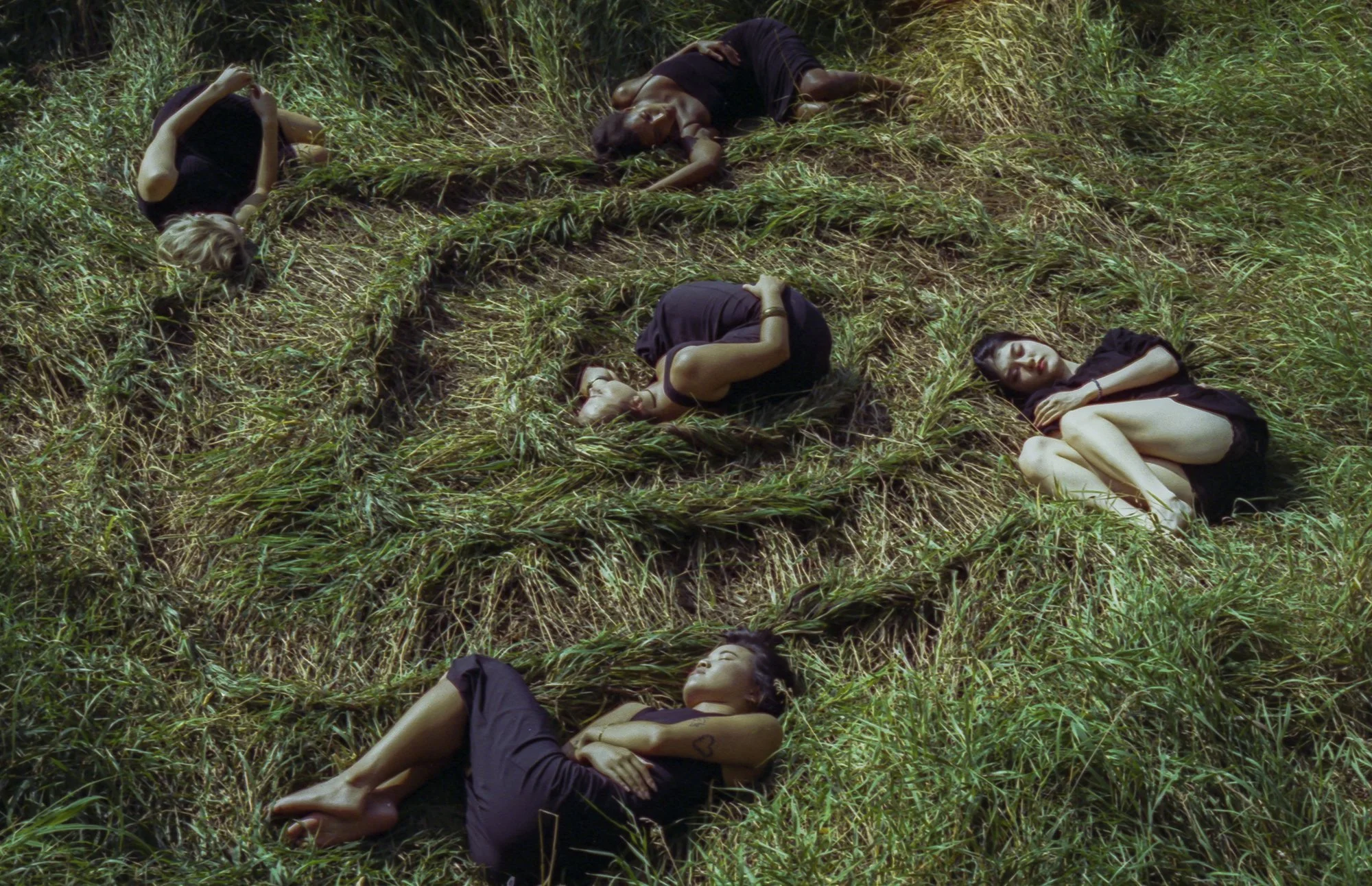 Photo by Lana Collins