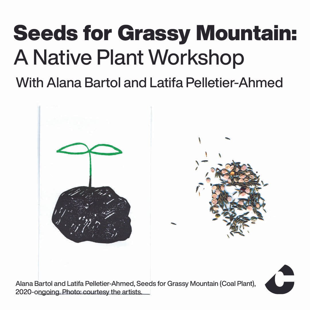 Seeds for Grassy Mountain: A Native Plant Workshop 