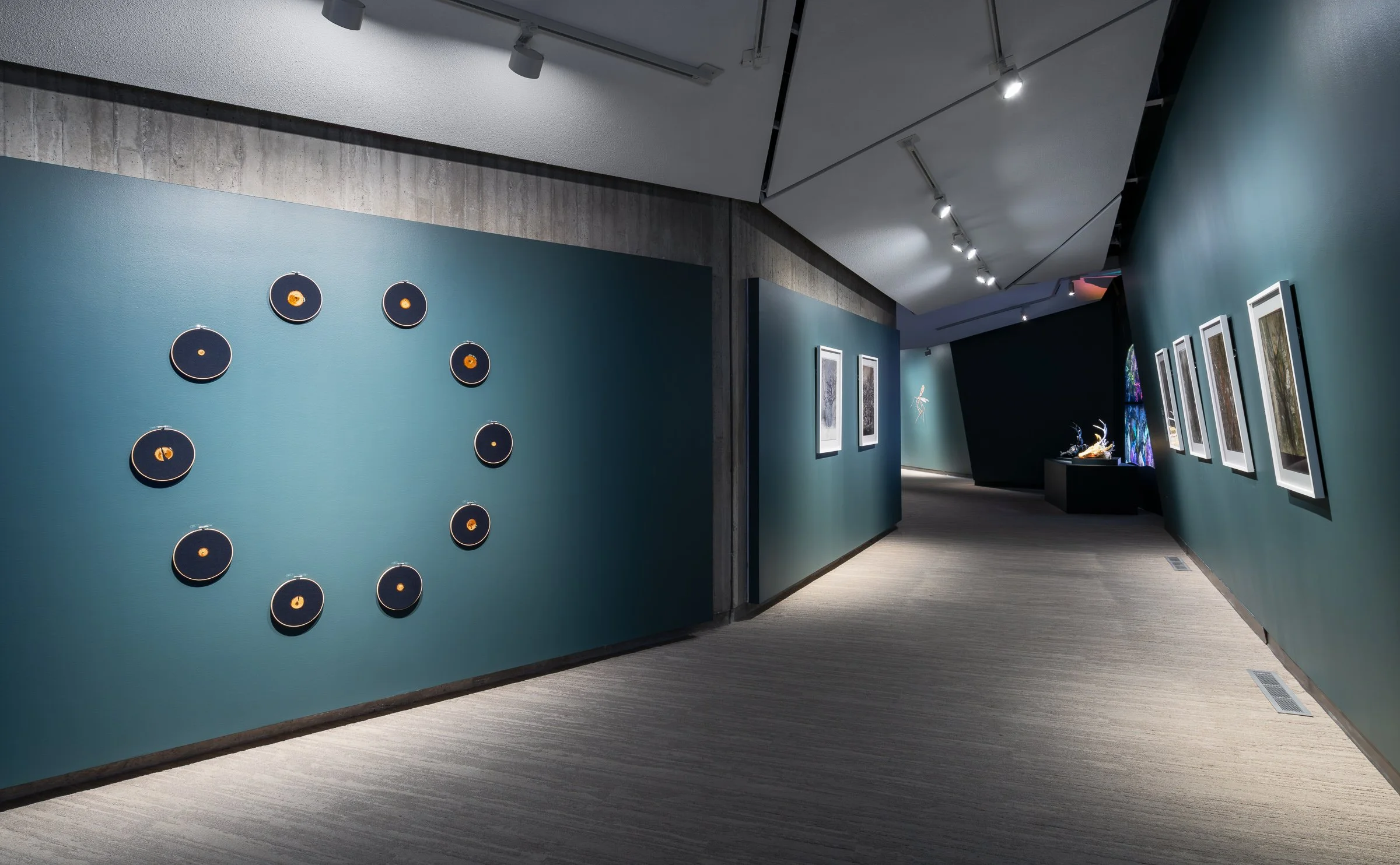  Installation view,  Entwined , December 5, 2025—March 15, 2026, Contemporary Calgary. Photo by Blaine Campbell.  