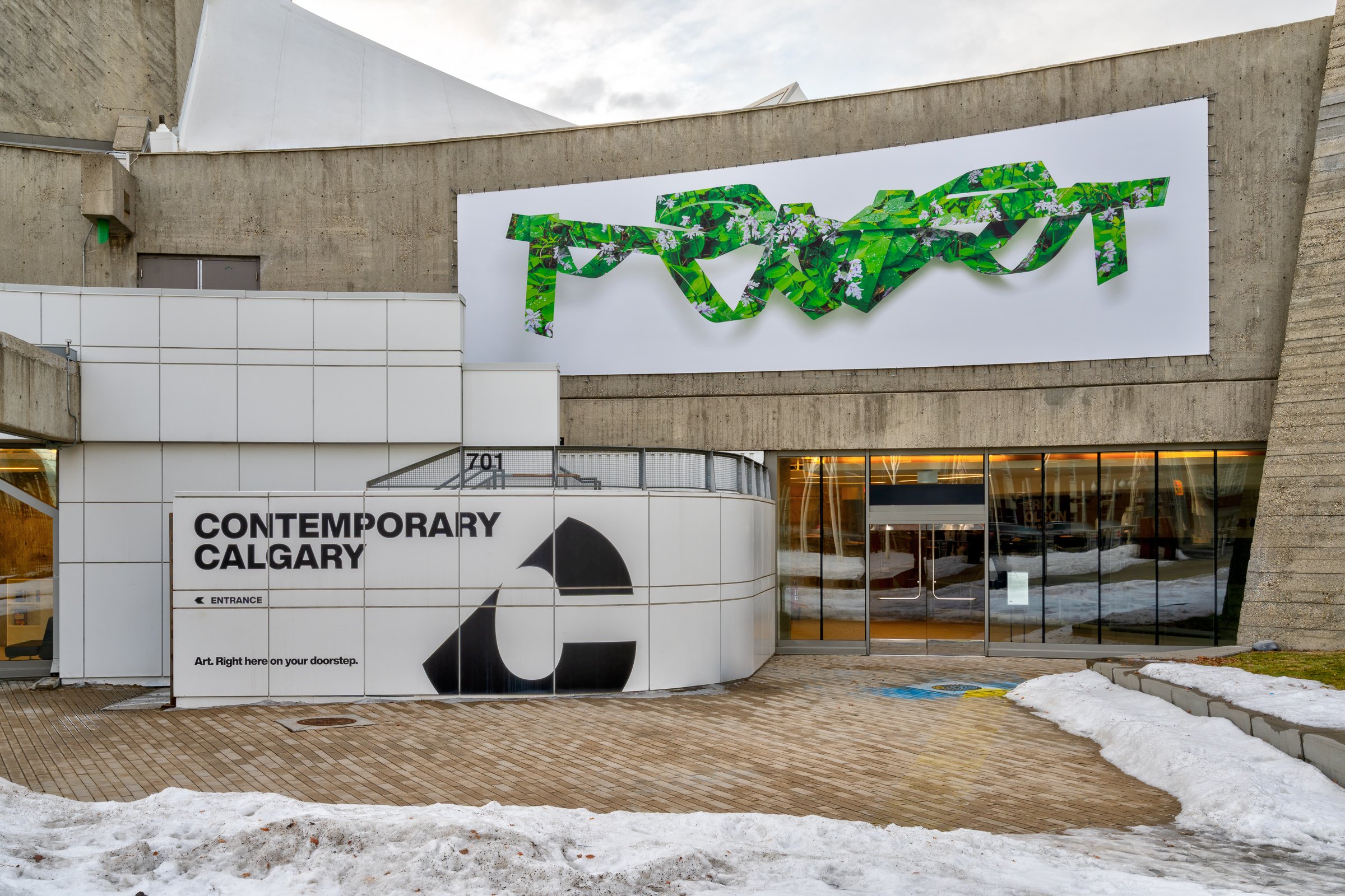  Tyler Los-Jones.  Water’s brief surfaces - Roundleaf Orchid  (2025). Photo by Blaine Campbell.  