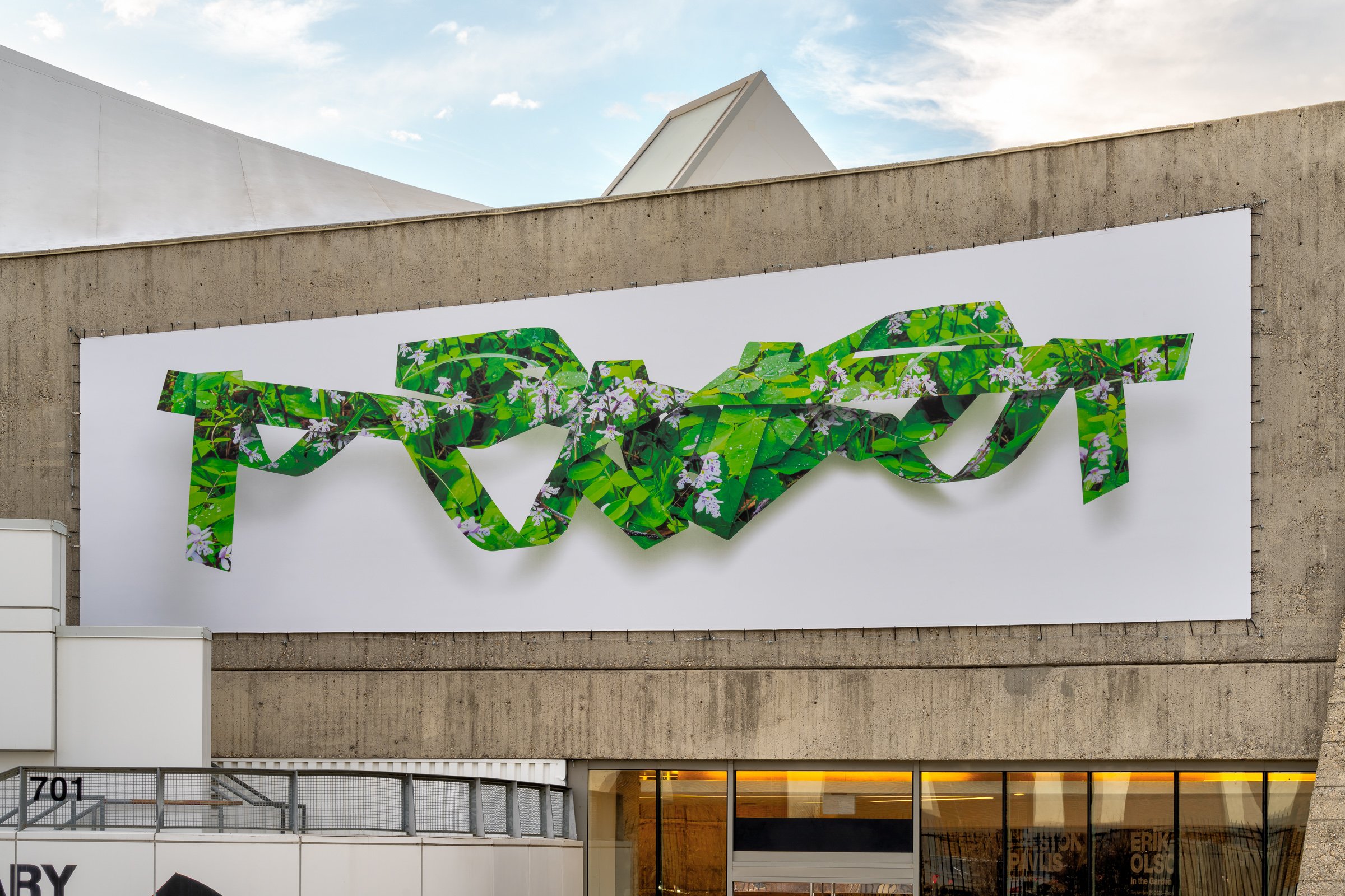  Tyler Los-Jones.  Water’s brief surfaces - Roundleaf Orchid  (2025). Photo by Blaine Campbell.  