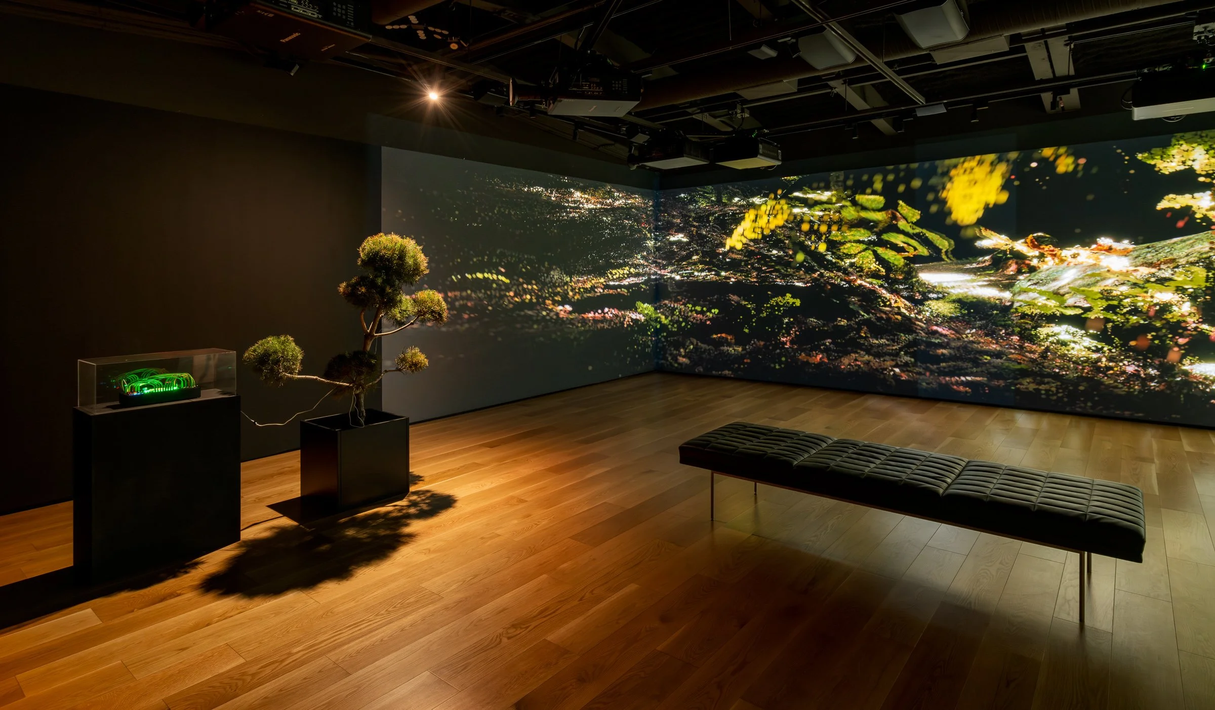   Installation view, Nelly-Eve Rajotte: Trees communicate with each other at 220 hertz.  December 5, 2025—April 19, 2026, Contemporary Calgary. Photo by Blaine Campbell. 