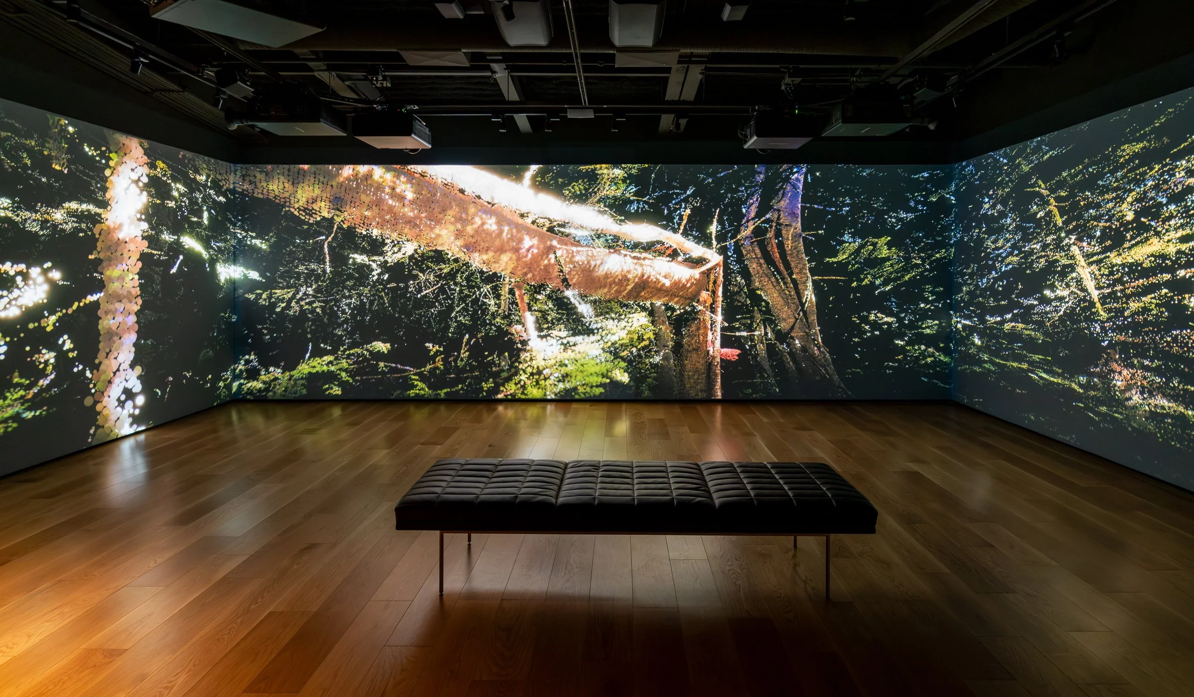   Installation view, Nelly-Eve Rajotte: Trees communicate with each other at 220 hertz.  December 5, 2025—April 19, 2026, Contemporary Calgary. Photo by Blaine Campbell. 