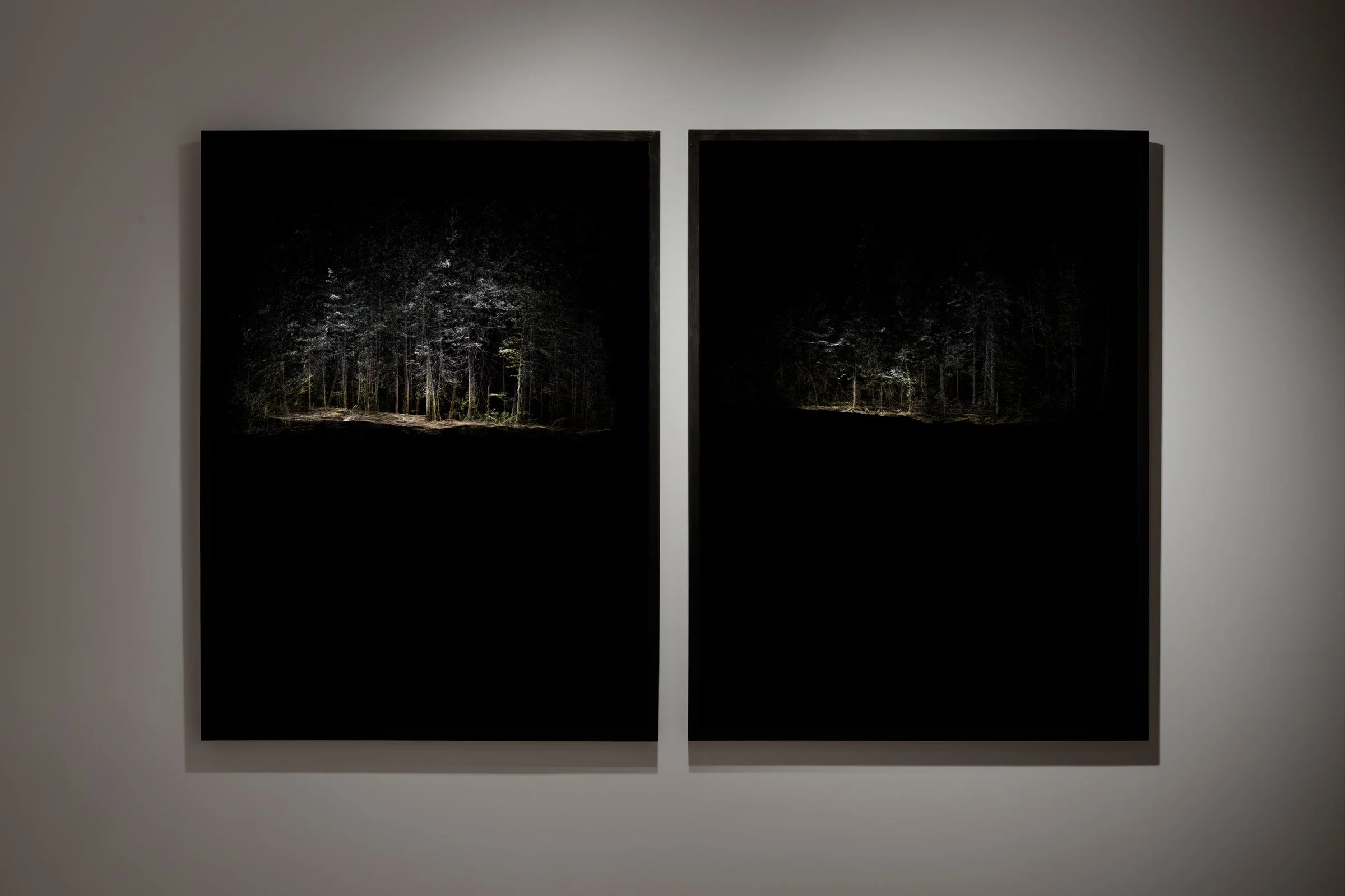   Installation view, Nelly-Eve Rajotte: Trees communicate with each other at 220 hertz.  December 5, 2025—April 19, 2026, Contemporary Calgary. Photo by Blaine Campbell. 