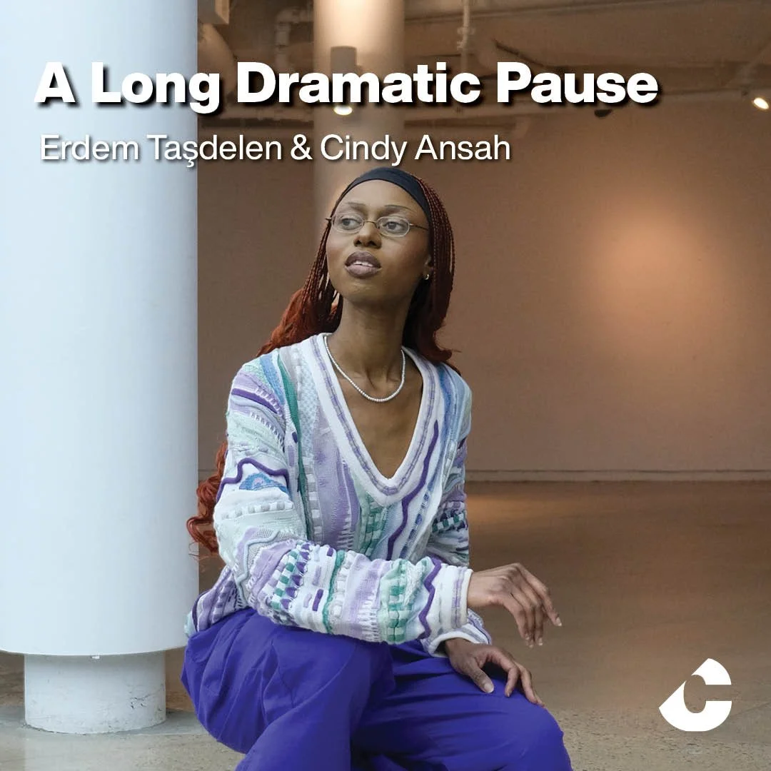 A Long Dramatic Pause 