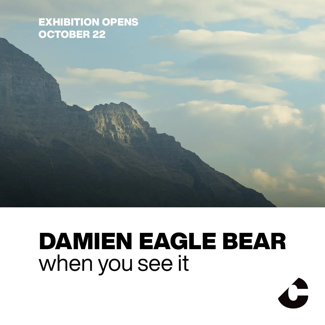 Exhibition Opening | Damien Eagle Bear: when you see it