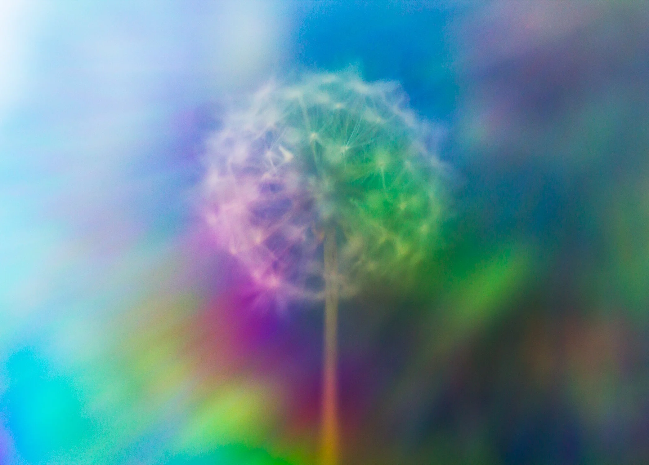 eabroadwater_naturestilllife3.jpg