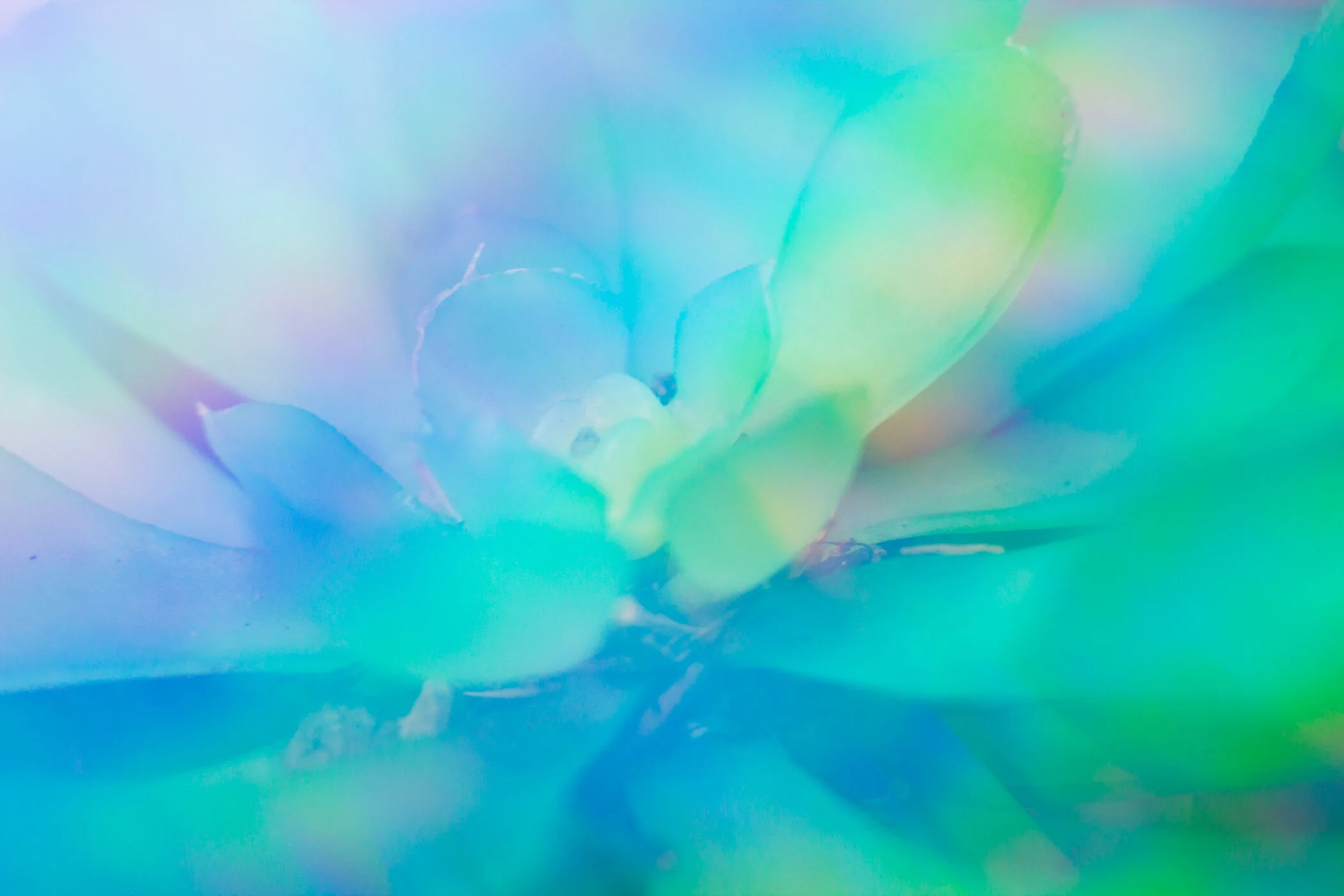 eabroadwater_naturestilllife7.jpg