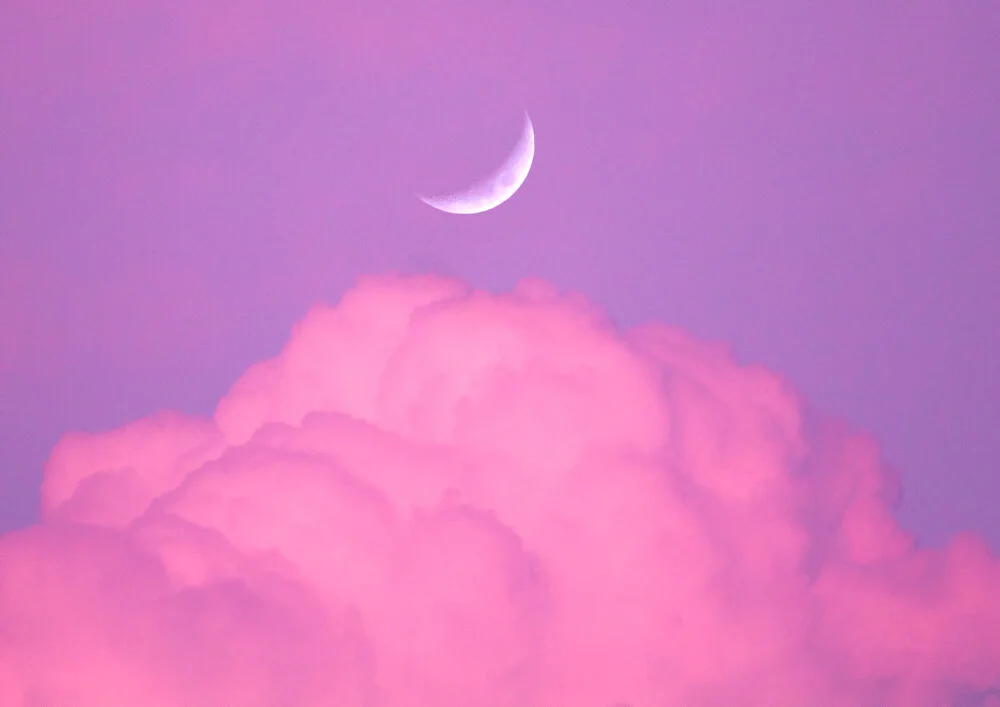 ericaangelica_pinkcloud.jpg