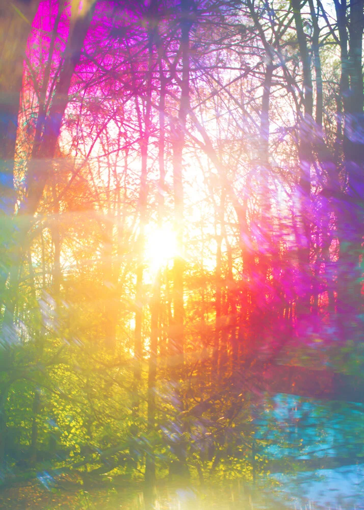 ericaangelica_tripstrees1.jpg