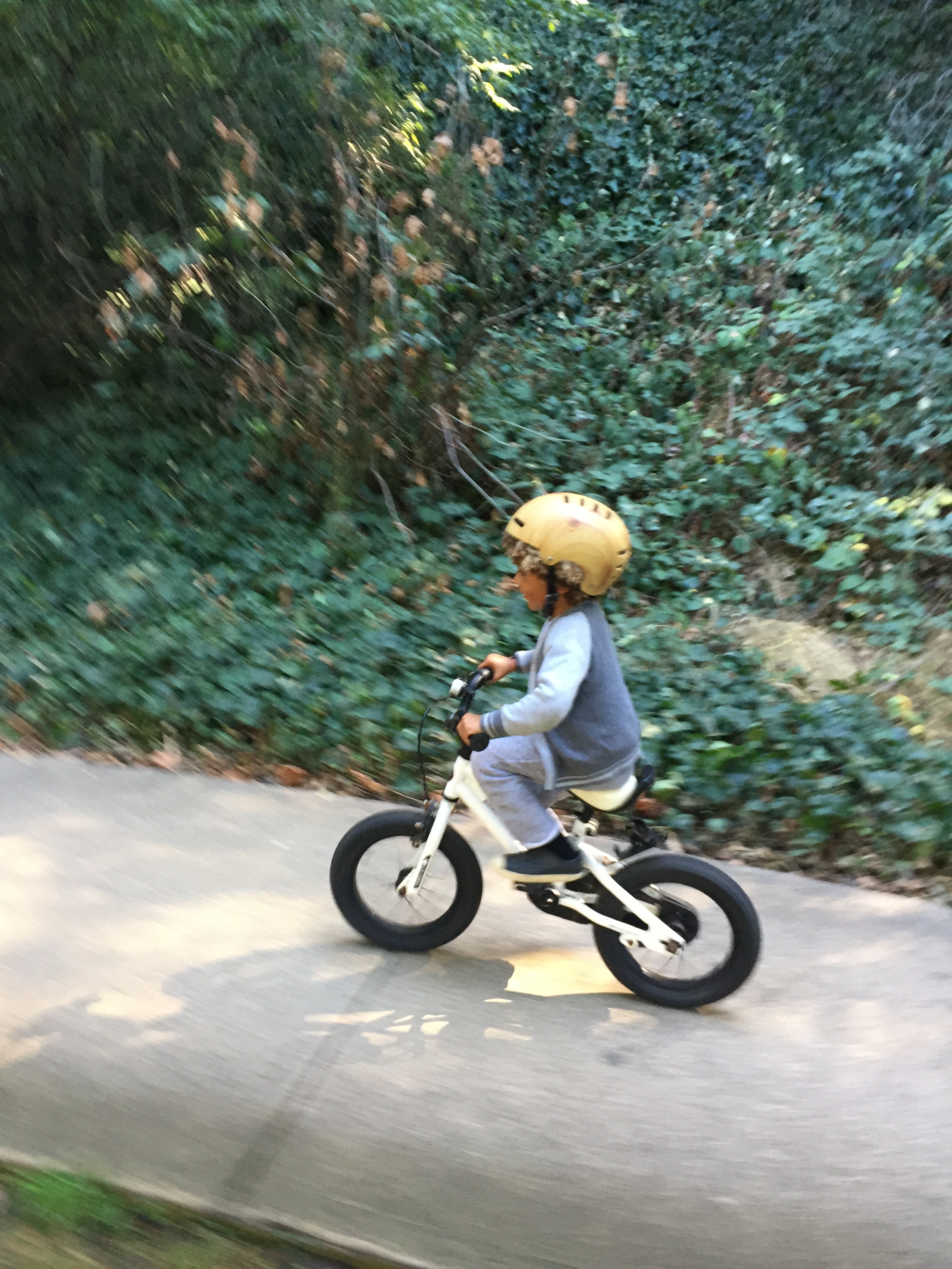 JULY 22-26 ~ Bike &amp; Hike Camp ~ Redwood Regional Park (FULL)