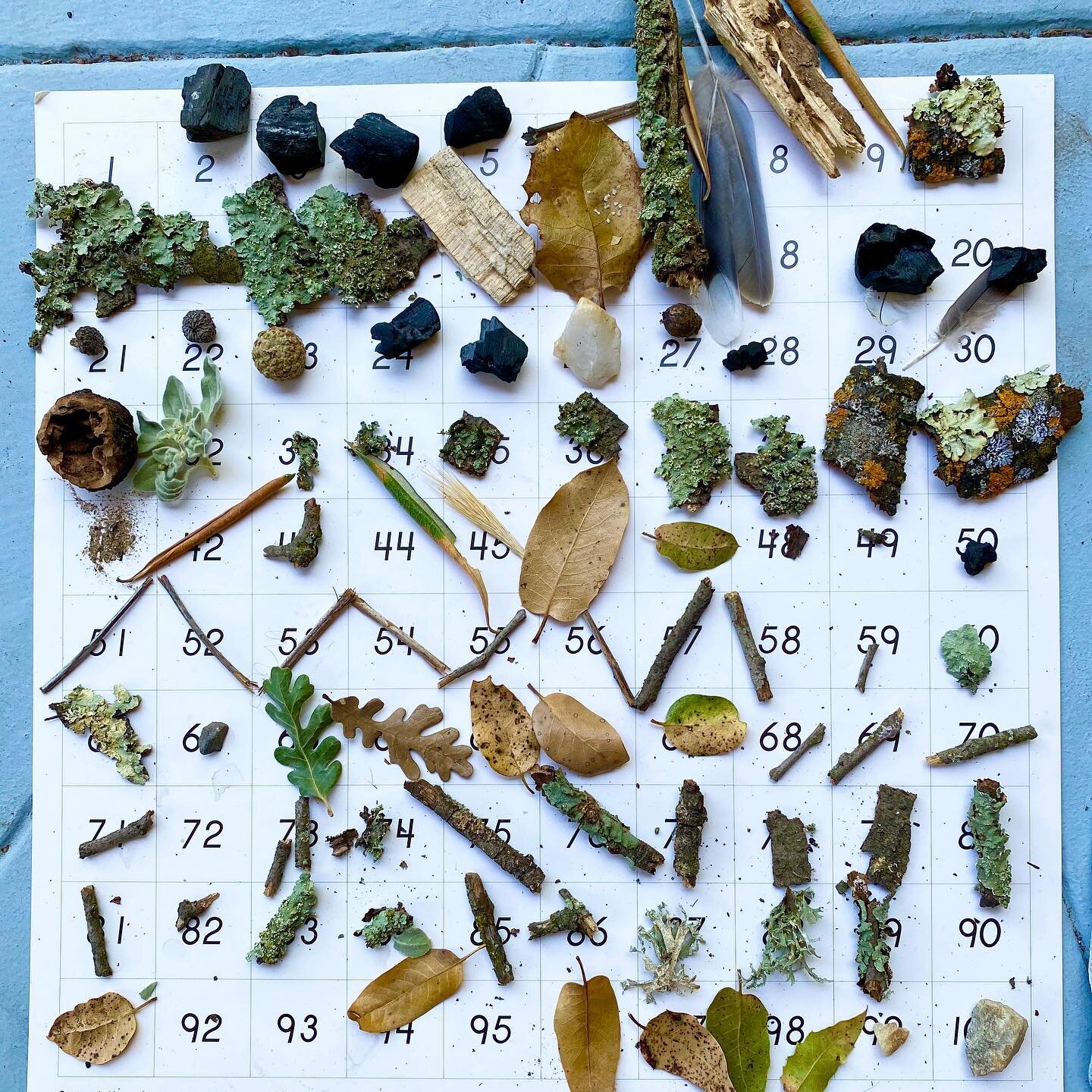One Hundred Nature Treasures! The Montessori 100 Numbers Board and control chart can be filled with natural loose parts found on a nature walk. 
🍃
This is an engaging, outdoor activity to do with children still fascinated by counting to 100, collect