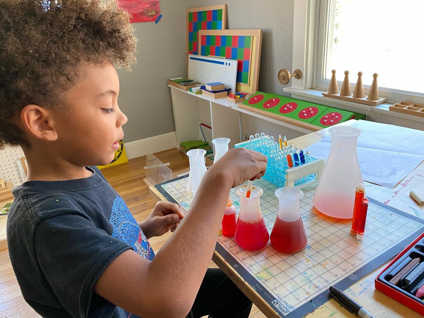 Science, it&rsquo;s like magic! I love the oohs and ahs of simple kid chemistry experiments. 
🧪 🧫 
&ldquo;We especially need imagination in science. It is not all mathematics, nor all logic, but it is somewhat beauty and poetry.&rdquo;

Maria Monte