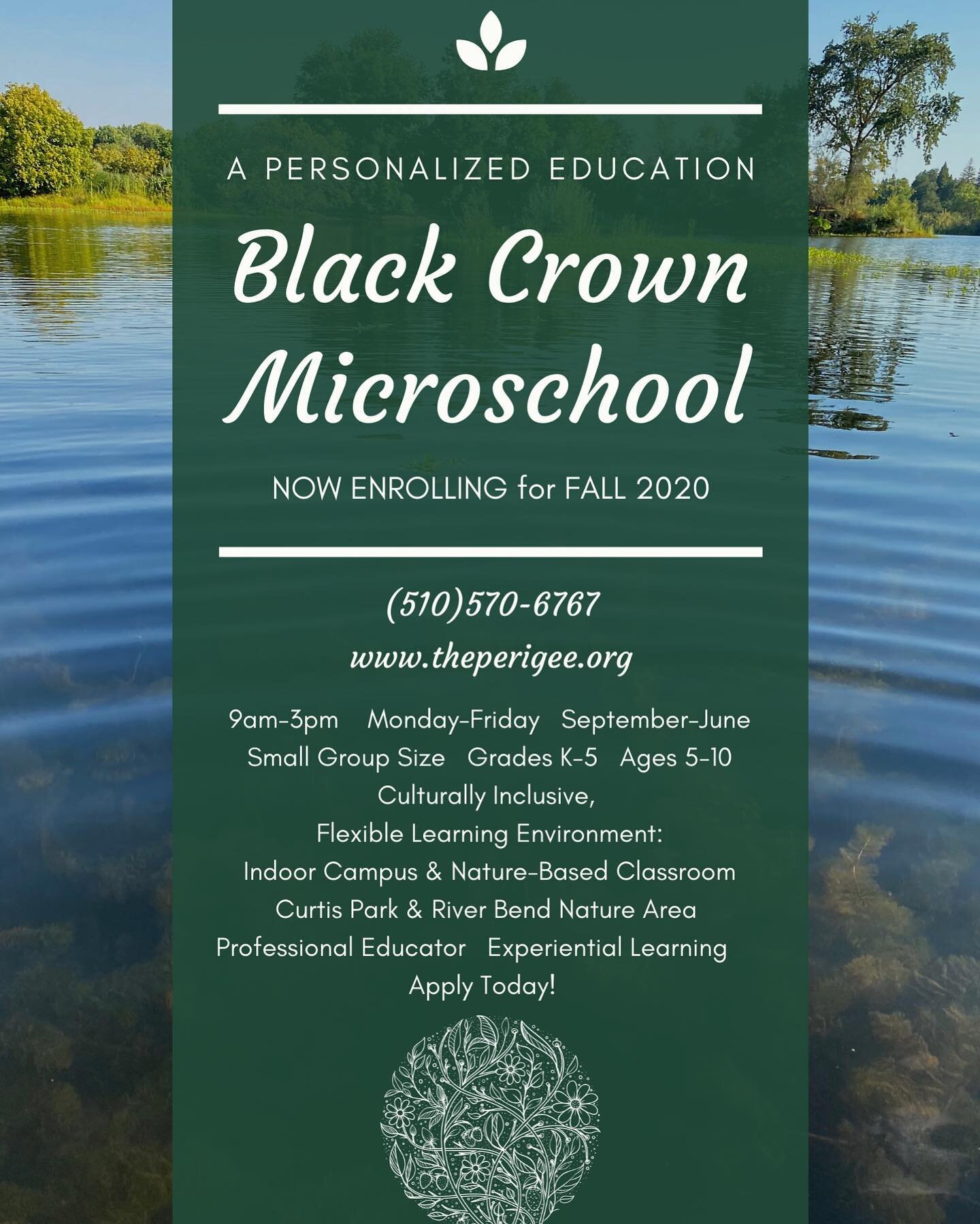 Welcome to Black Crown Microschool! A personalized Perigee education. We are now enrolling for fall 2020!  Spaces are limited. 
Here are the basics: 
☆9am-3pm 
☆Beginning in September and ending in June
☆Culturally inclusive community 
☆Small, contro