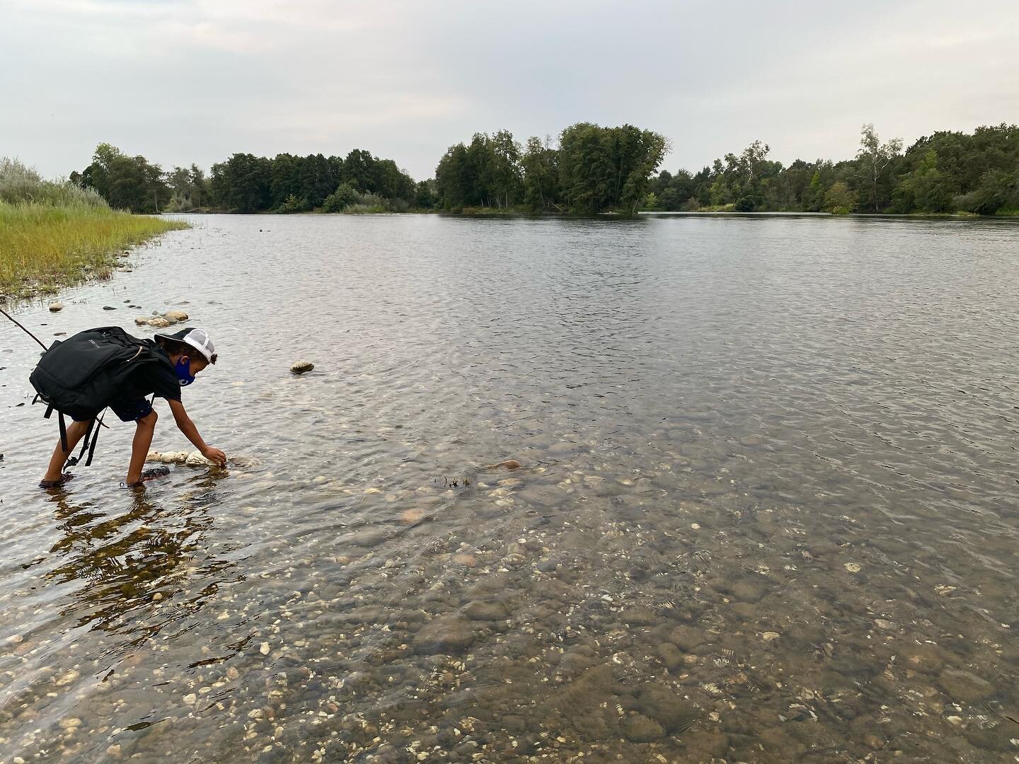 Algae Field Study: Things that we observed about algae: It&rsquo;s slipper, a lot grows in water, it&rsquo;s slimy, no leaves, no roots...and in Botanicum we read that, &ldquo;Fossil evidence indicates the presence of algae, the first plants on earth