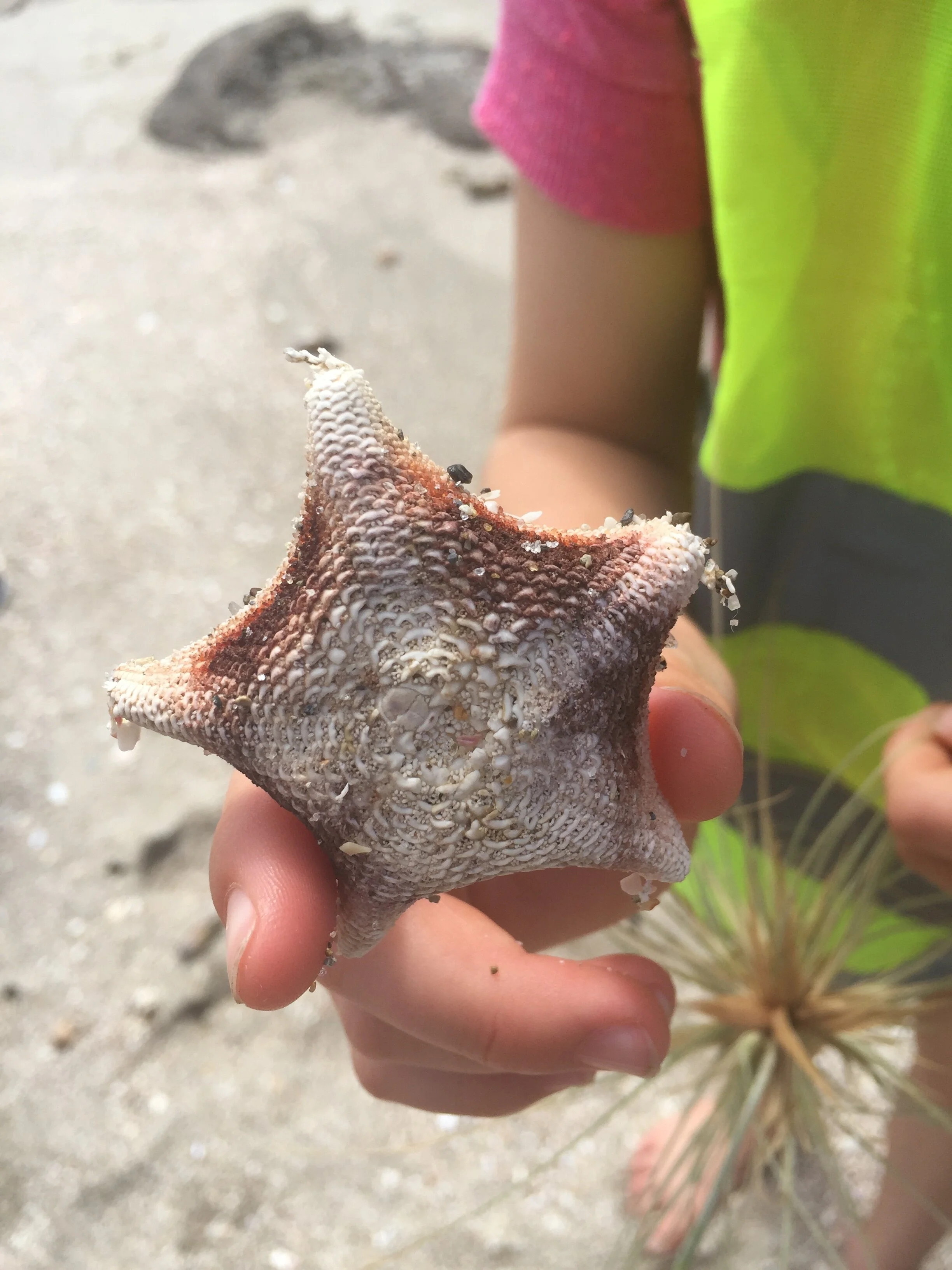 Nature Kids School Holiday Programme - Our Days.