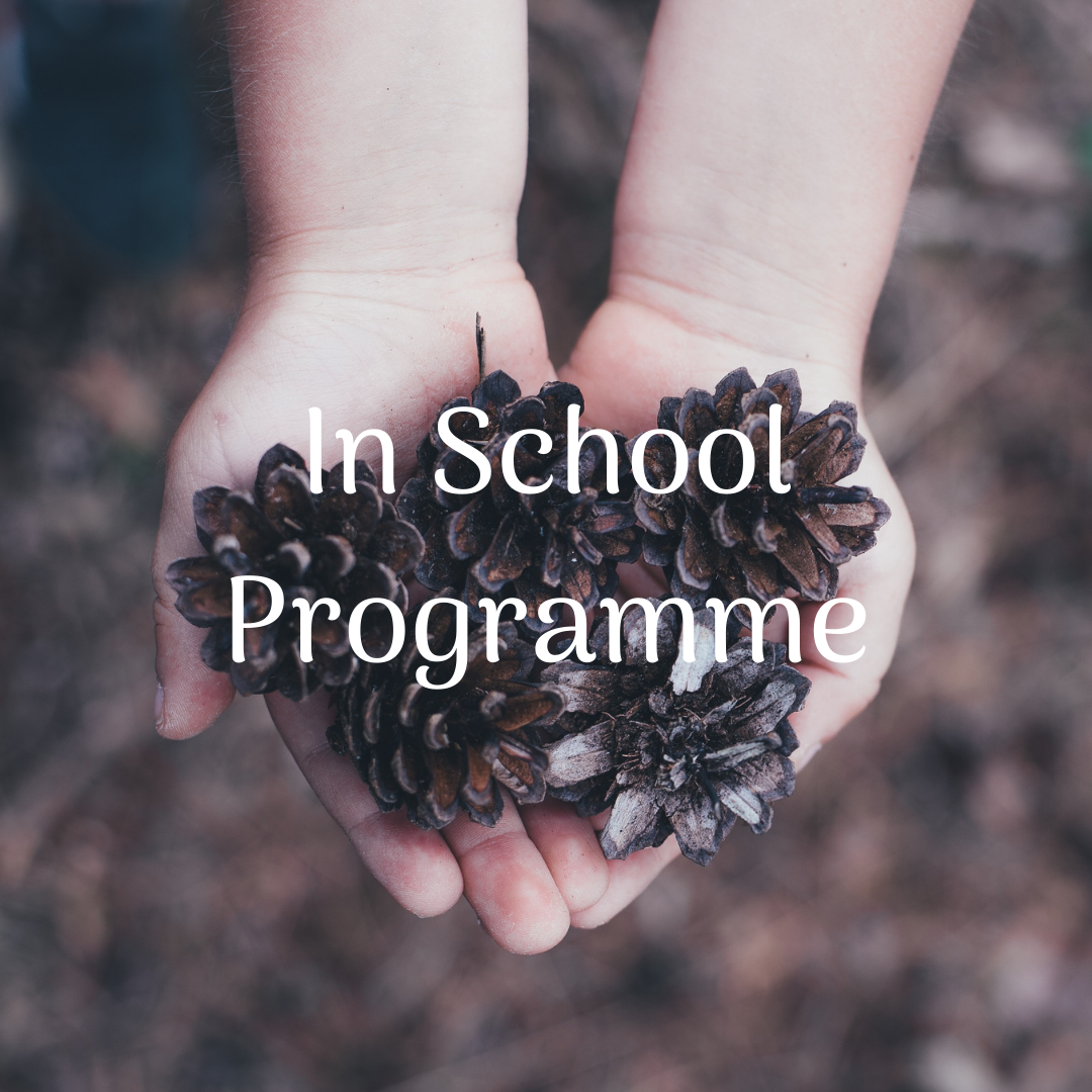 In School Programme.png