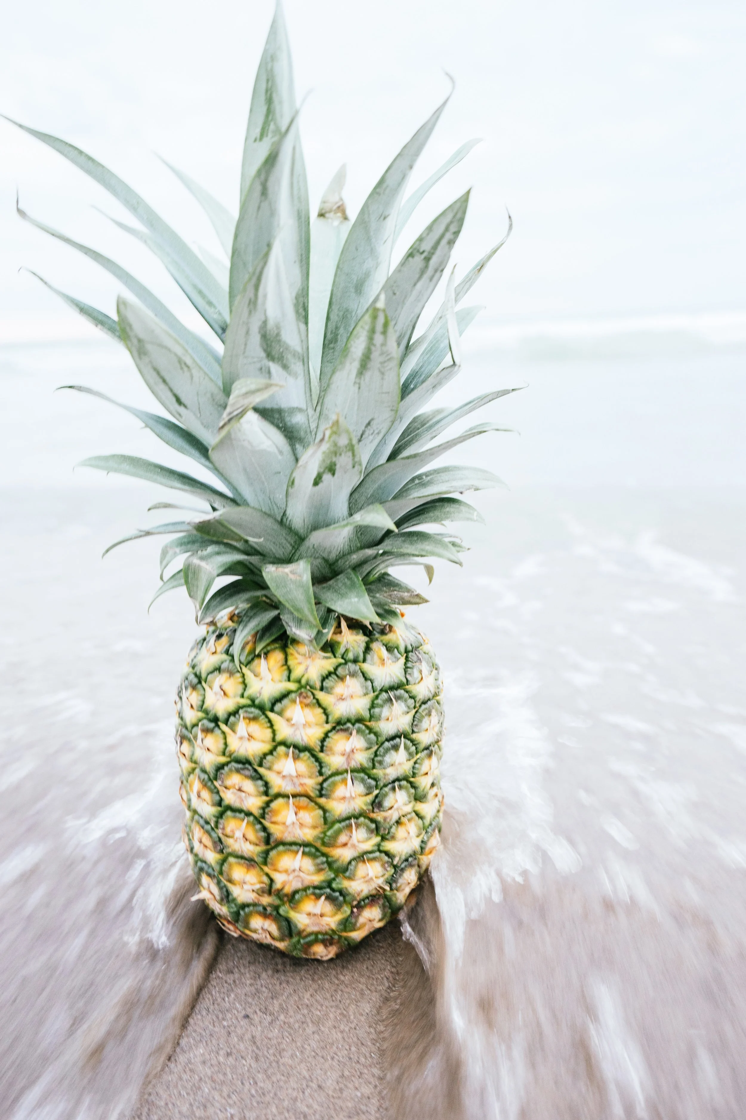 beach-close-up-colors-136659.jpg