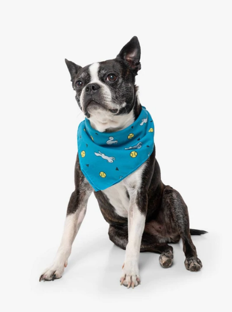 Insect Shield for Pets Ball &amp; Squirrel Bandana