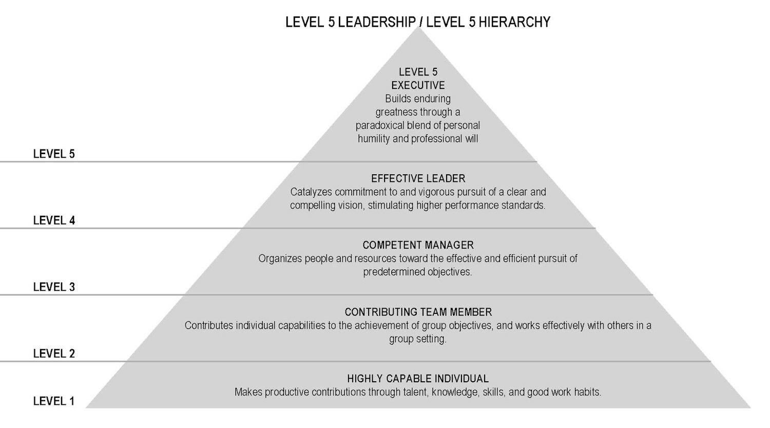 level-5-leadership-hierarchy.jpg