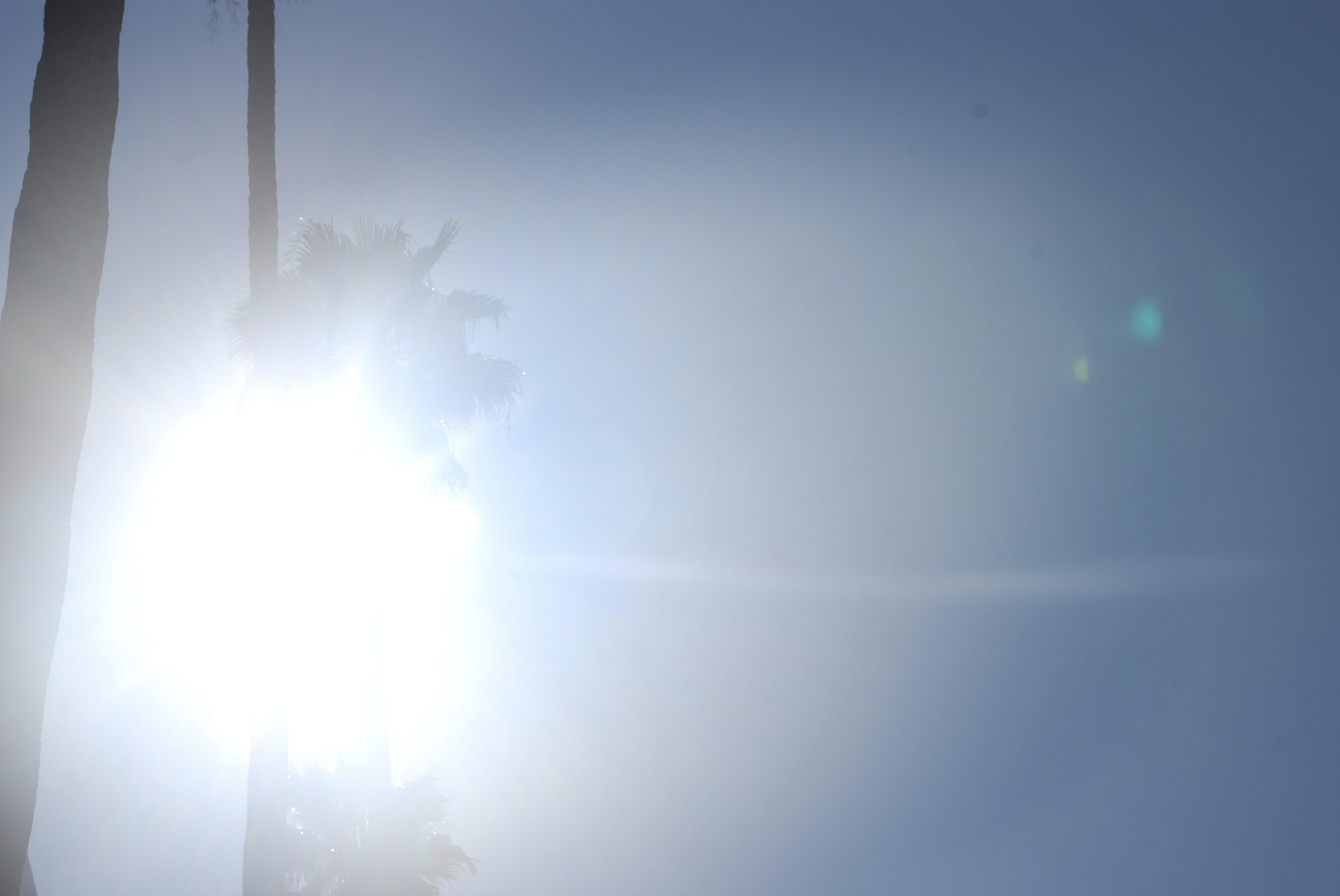 Screen Shot 2019-08-14 at 3.56.42 PM.png