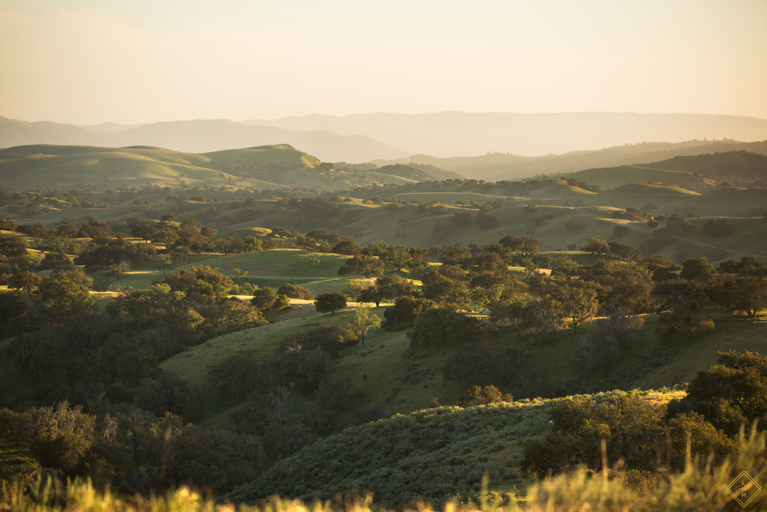 ChamberlinRanch_SunsetLandscape_Lauren Maeve_29.jpg