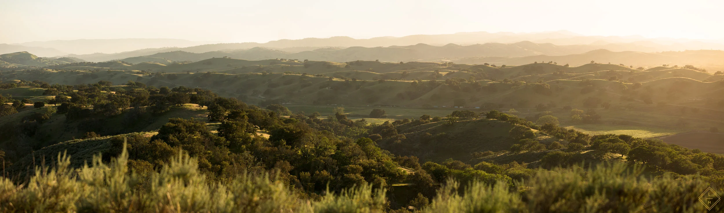 ChamberlinRanch_SunsetLandscape_Lauren Maeve_3_copy.jpg