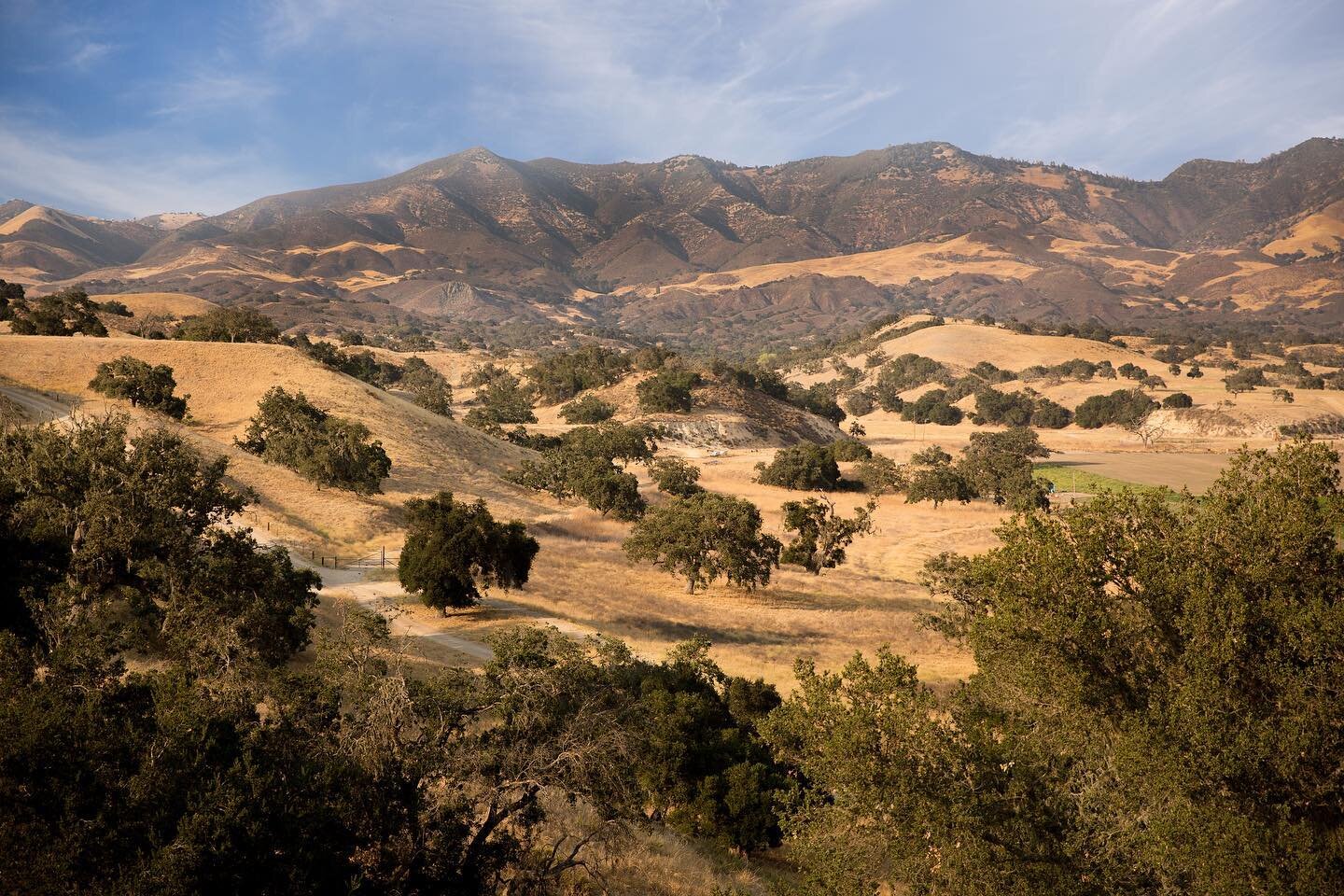 With today&rsquo;s heavy rain these hills will turn green soon!  What&rsquo;s your favorite style photoshoot with a lush green background?? 

#filmranch #chamberlinranch