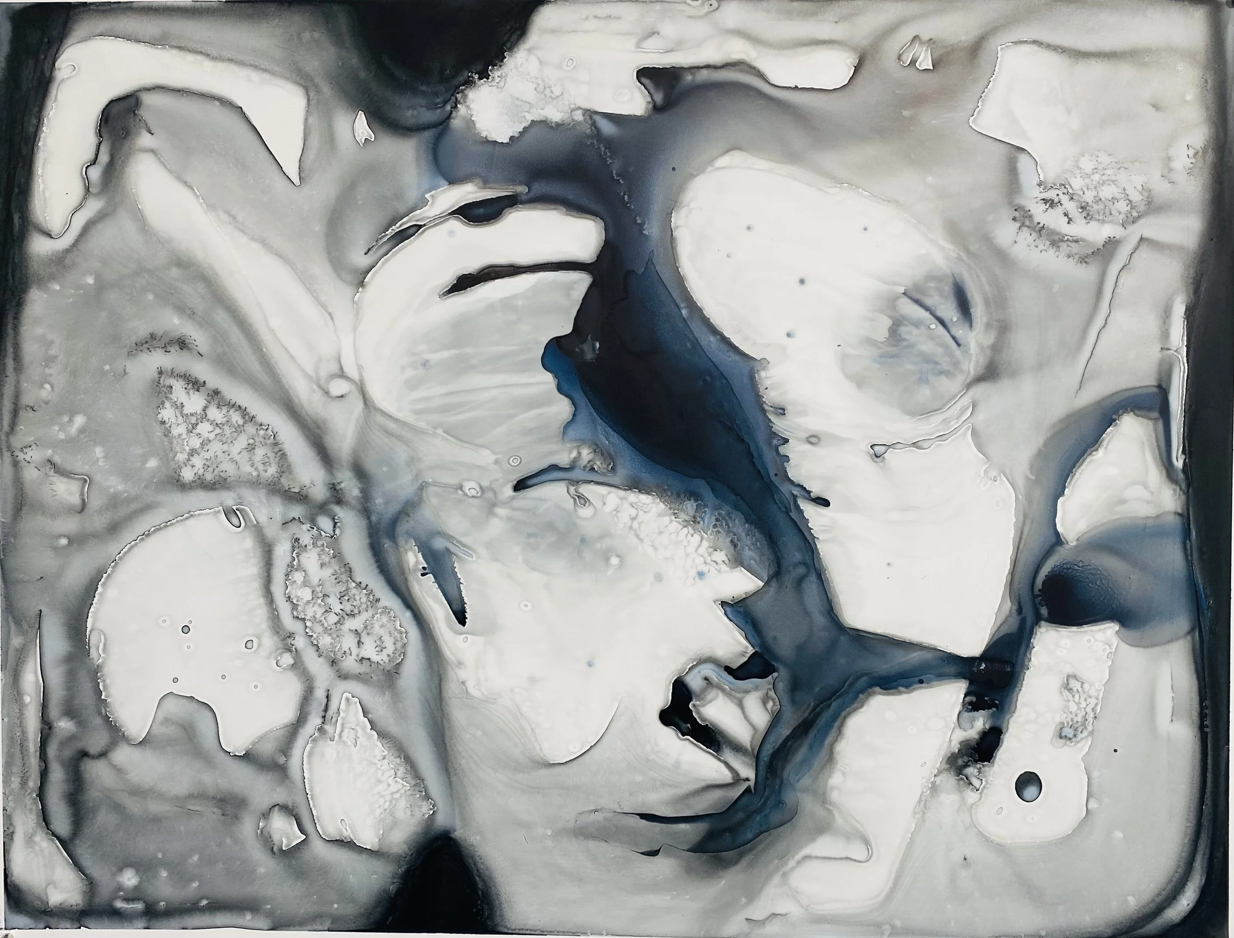 Film Still: Metamorphosis. Ink on Transparent Yupo paper. 24 × 18 inches
