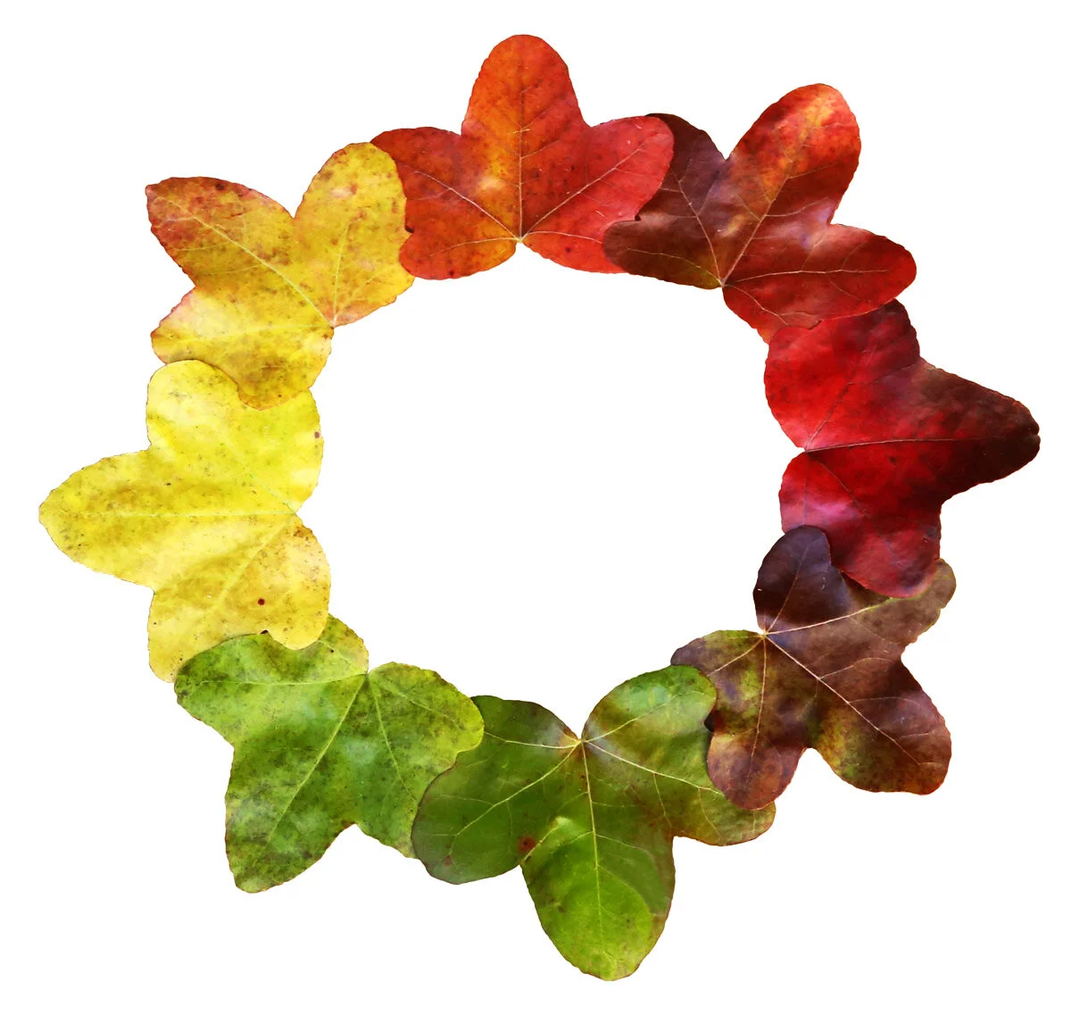 Change Catalyst Network Logo_adj.jpg