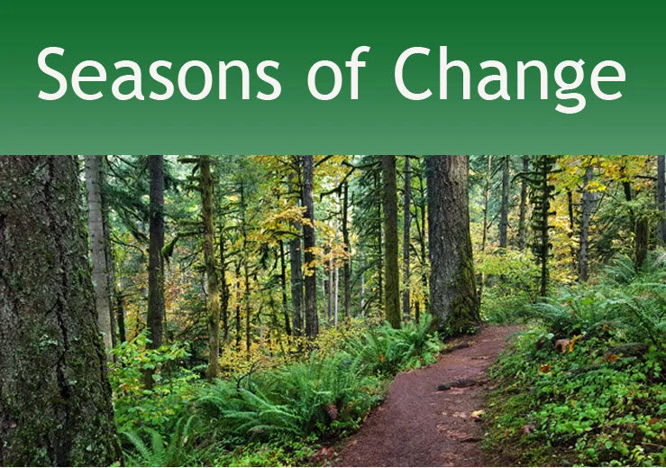 seasonsofchange.jpeg