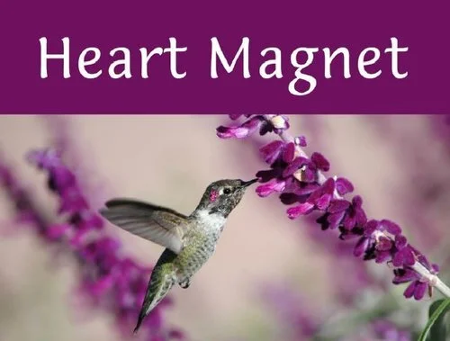 Heart_Magnet.jpeg