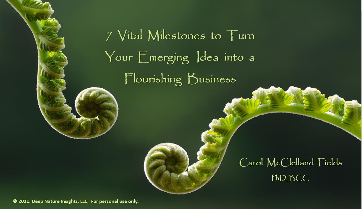 Milestone eBook Cover Page.jpg