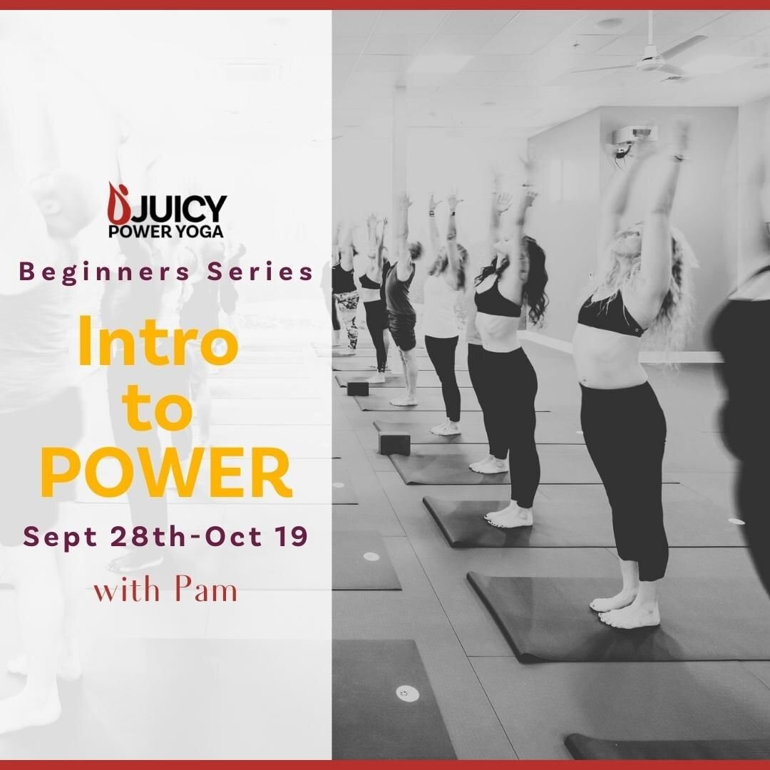 Sign up today for JPY's Beginners Series and you will get four weeks of small-group instruction for only $95! In addition to this, you will receive a coupon code for $20 off of our Intro Offer so that you can jump right in! 

Pam will introduce you t