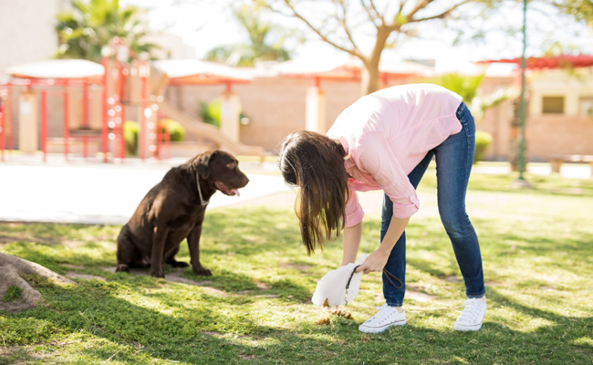 Dogpoop.jpg