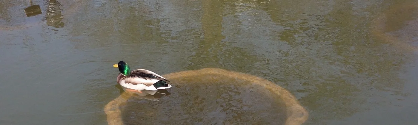 Nothing Stands Outside the Circle