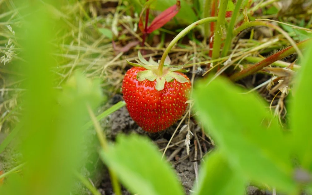 The Unbridgeable Distance