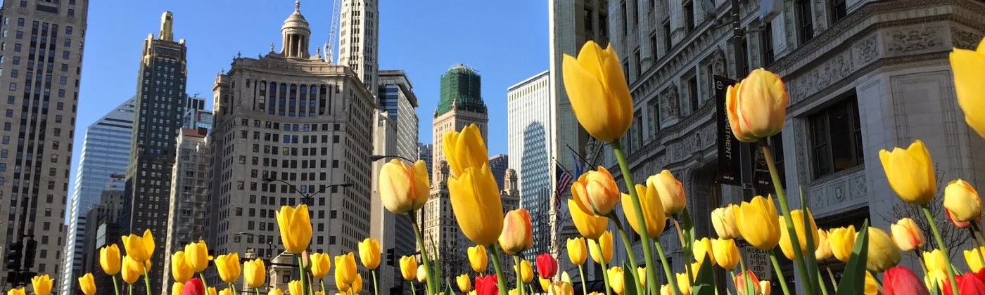 Love holds the tail of suffering