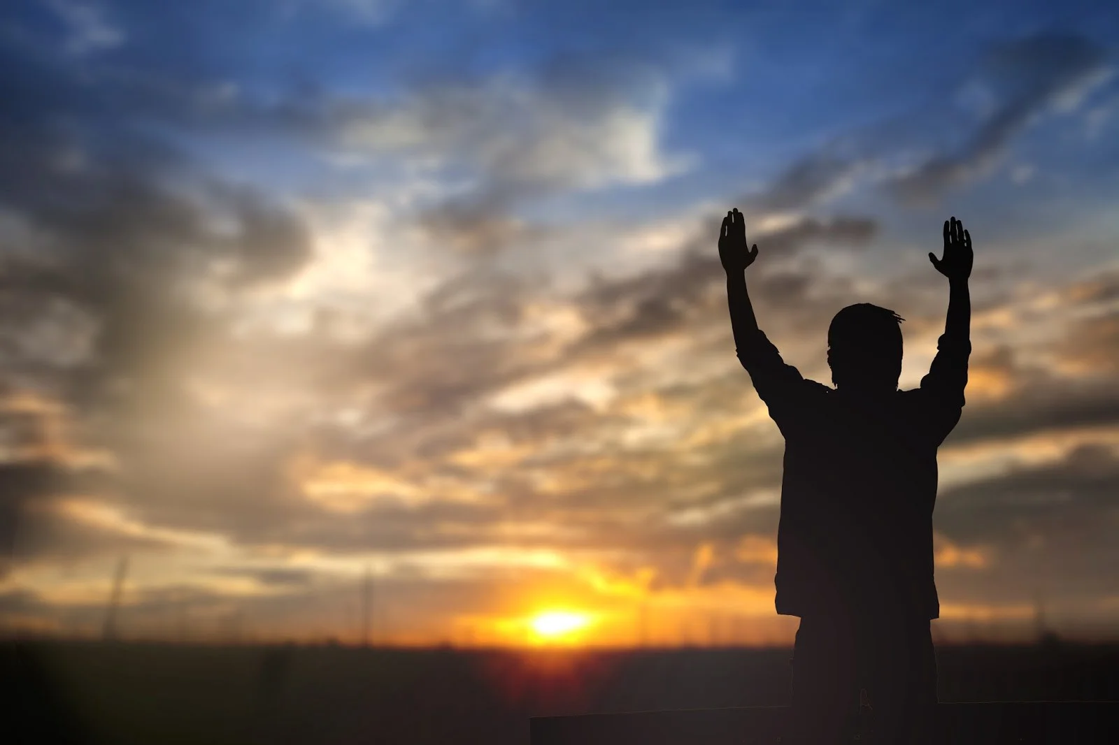 The Body Heals Itself