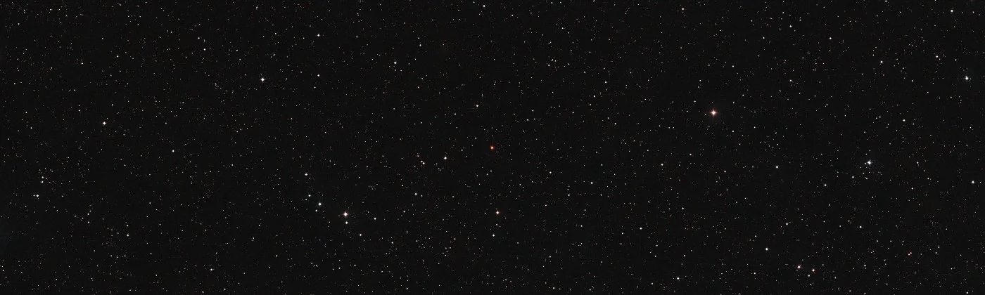 Life in the Night Sky